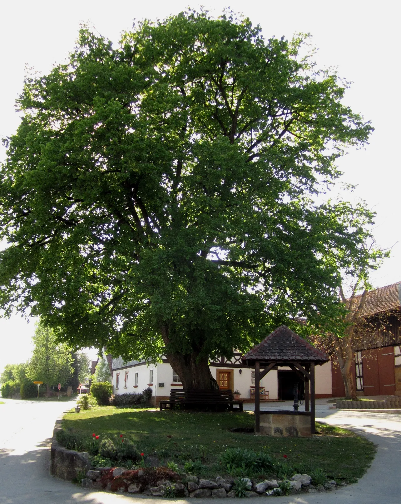 Photo showing: Dorflinde mit Brunnen vor dem ehemaligen Zehnthaus