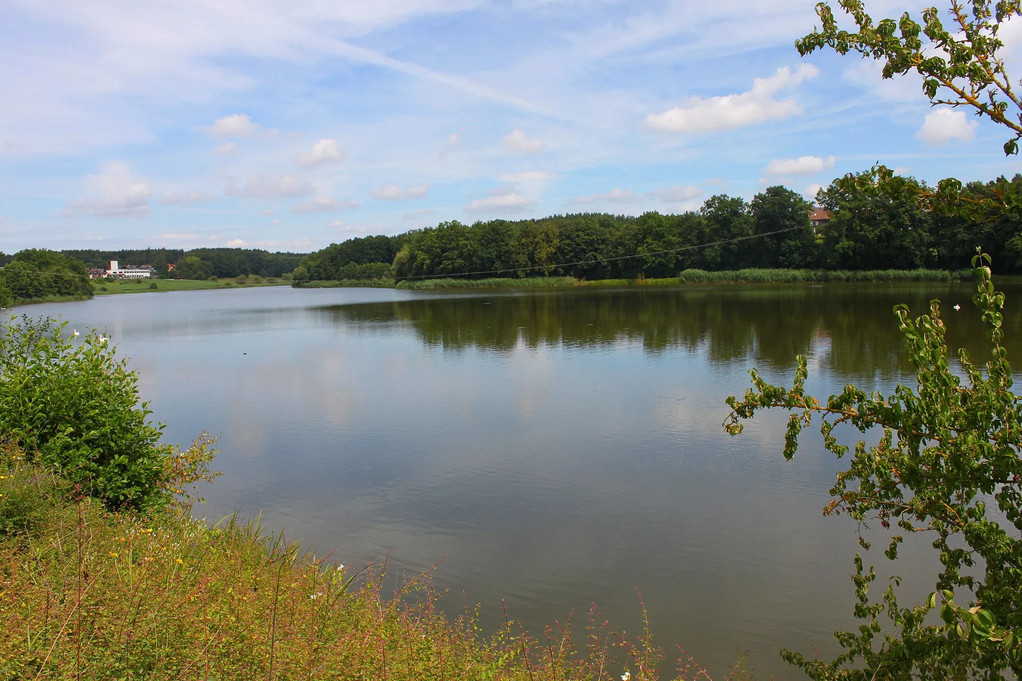 Photo showing: Der Neuenseer Weiher, der dem Michelauer Ortsteil Neuensee seinem Namen gegeben hat