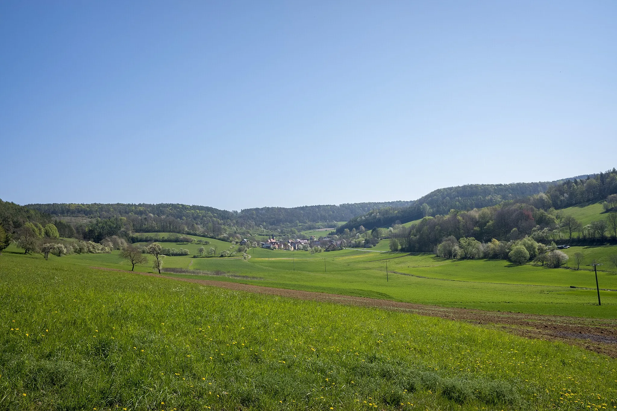 Photo showing: EU-Vogelschutzgebiet "Felsen- und Hangwälder im nördlichen Frankenjura" / FFH-Gebiet "Albtrauf im Landkreis Lichtenfels"