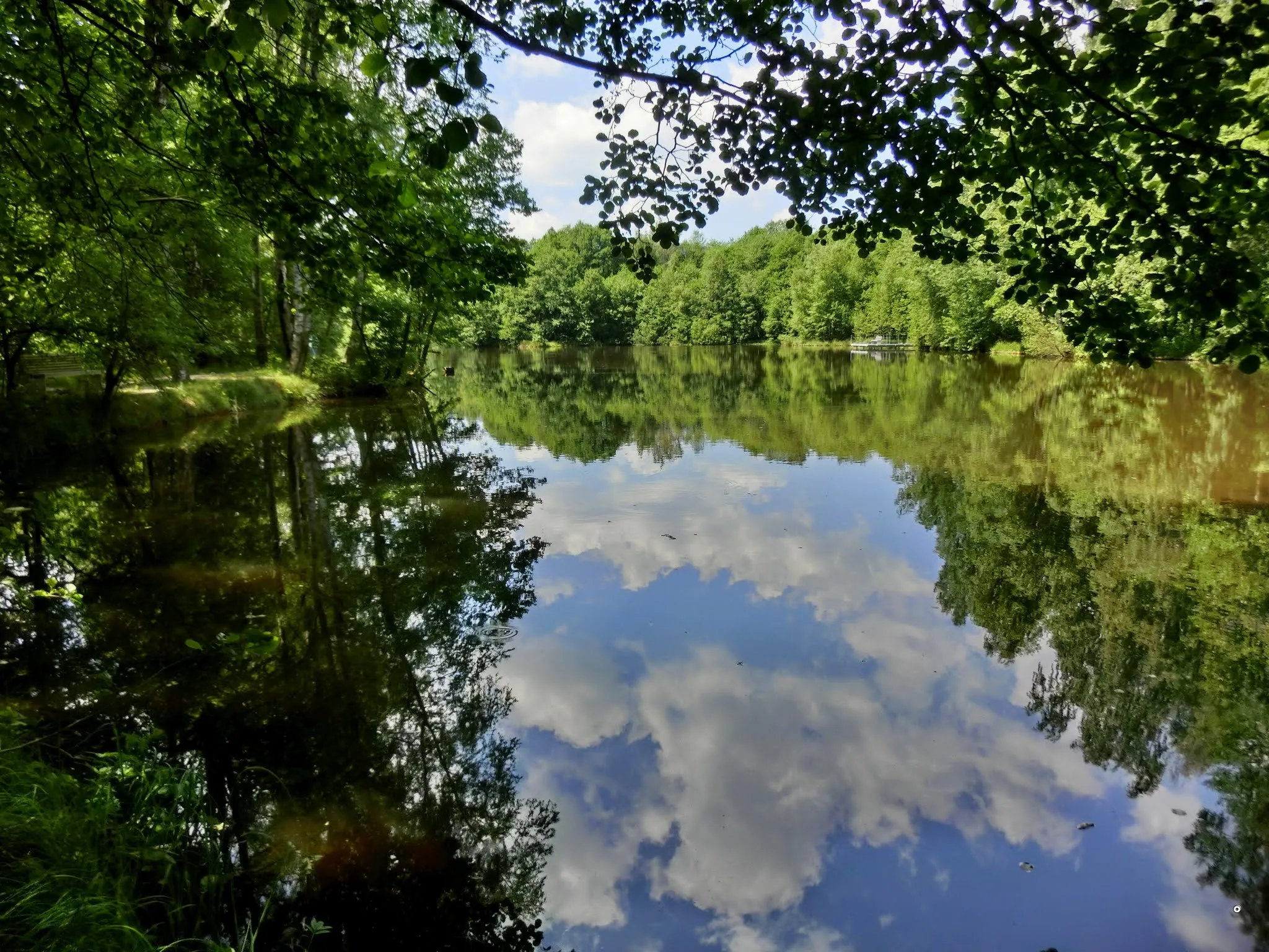 Photo showing: Strudelweiher