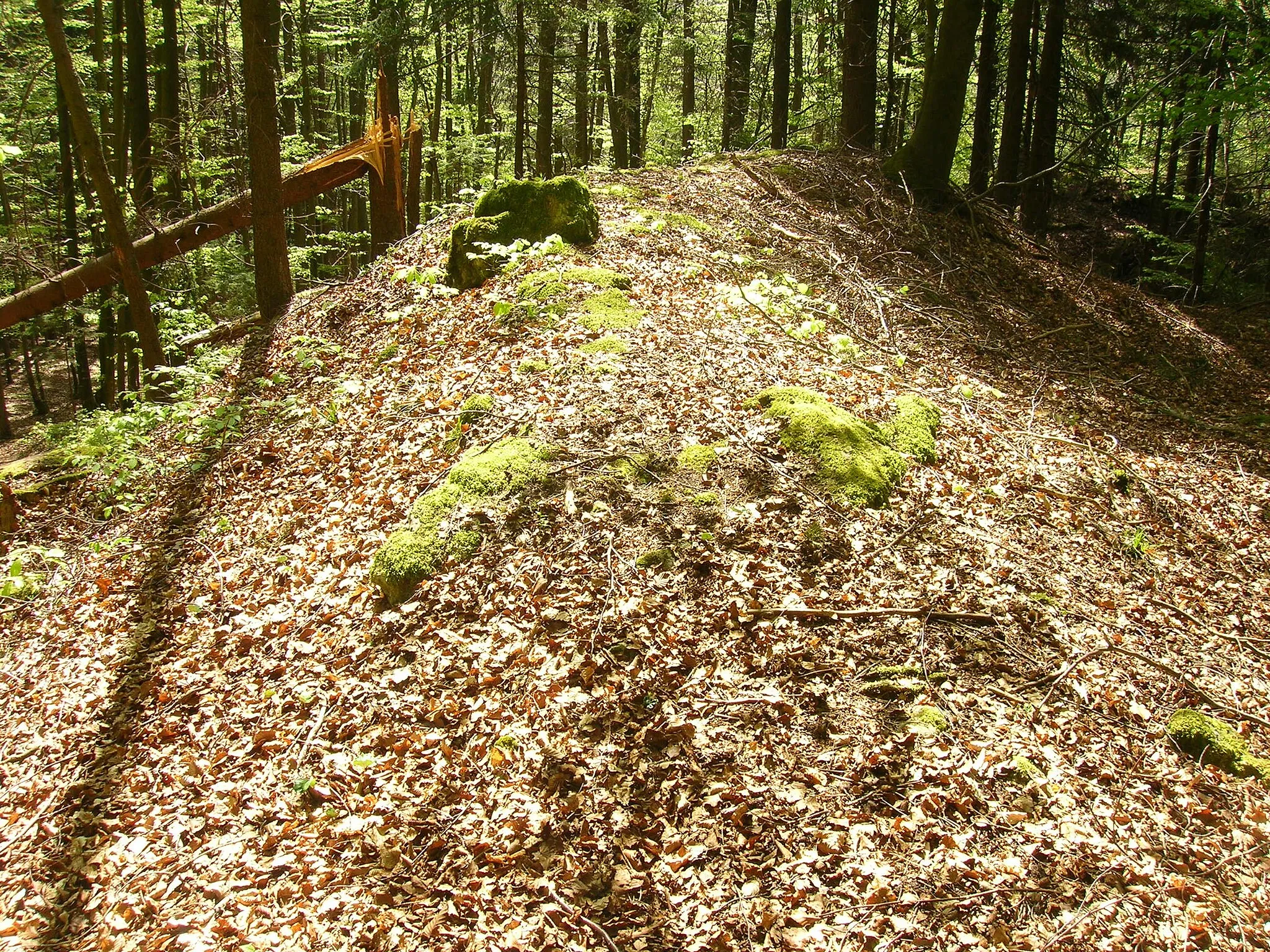 Photo showing: Abschnittsbefestigung Burggraf - Blick auf den Hauptwall, rechts die Burgfläche