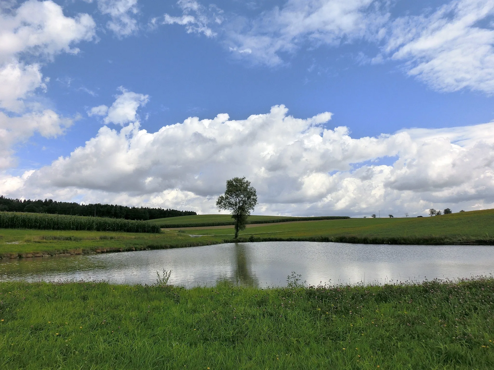 Photo showing: Weiher bei Schwürz