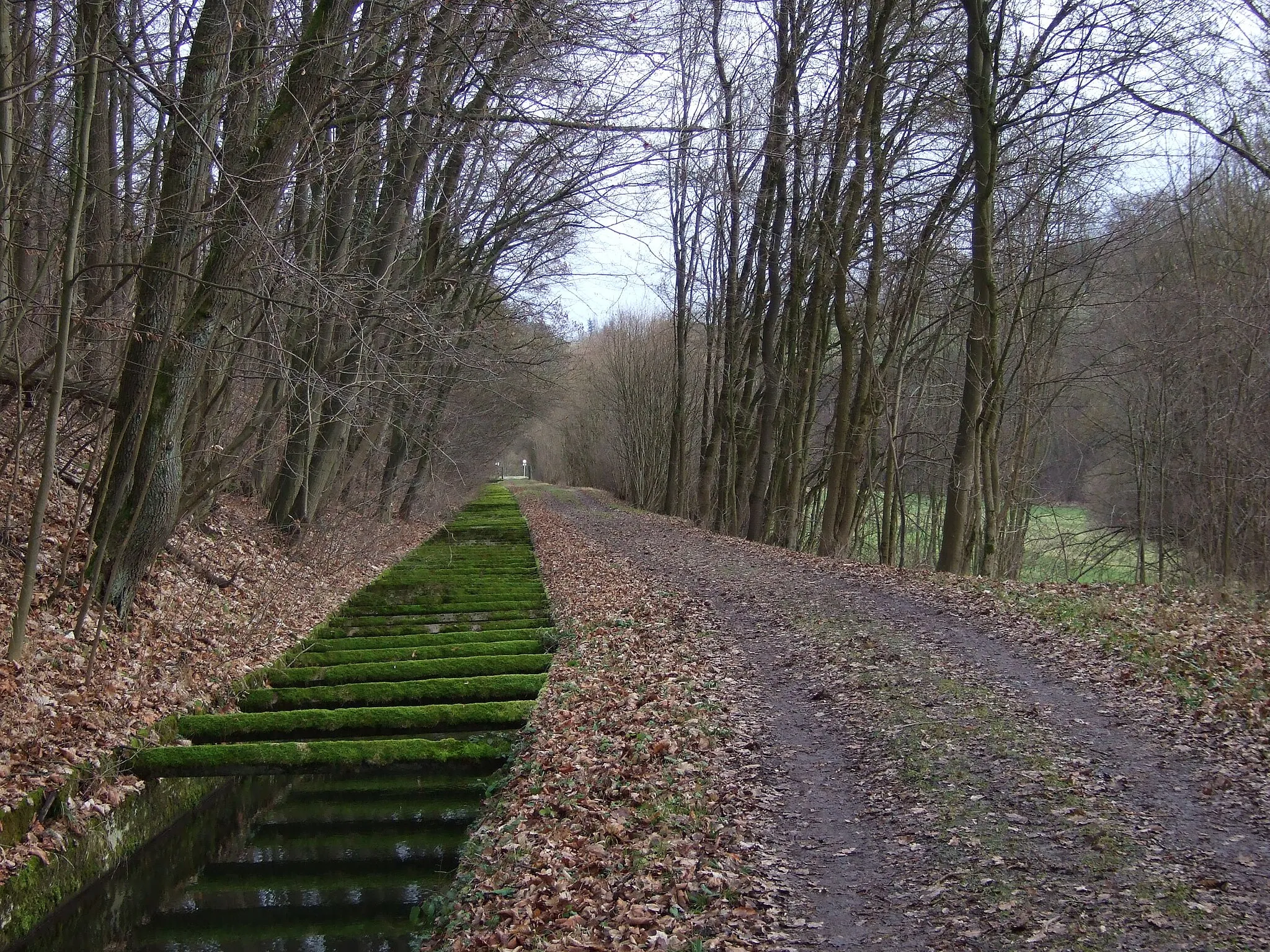 Photo showing: Döhlauer Graben Bayreuth-Friedrichsthal