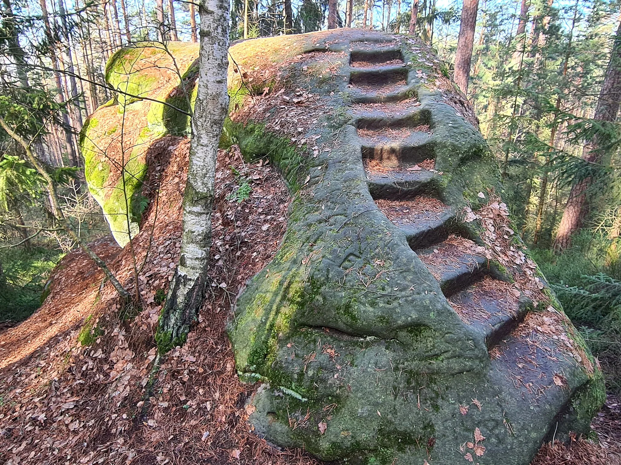 Photo showing: Holzfrauenstäffele, hewn sandstone rock in the forest near Ebneth, Burgkunstadt.