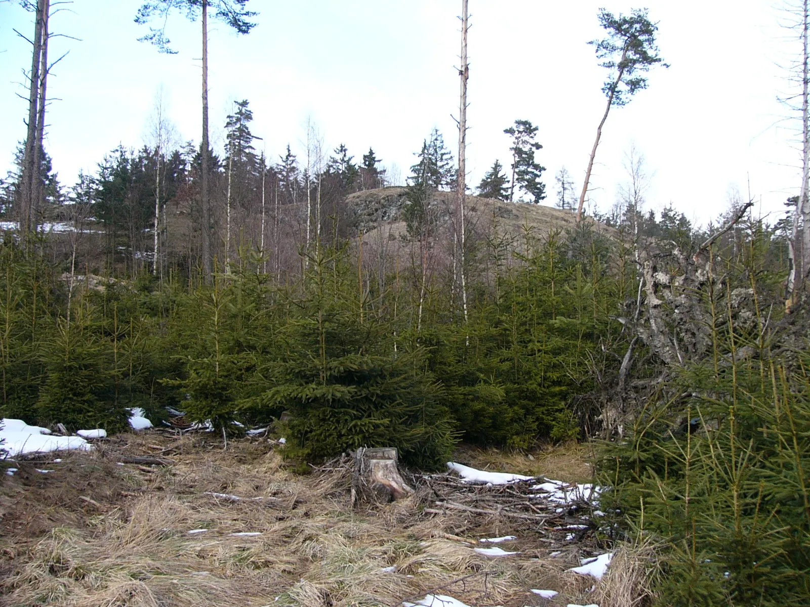 Photo showing: Plateau der Anlage Haideck von Süden