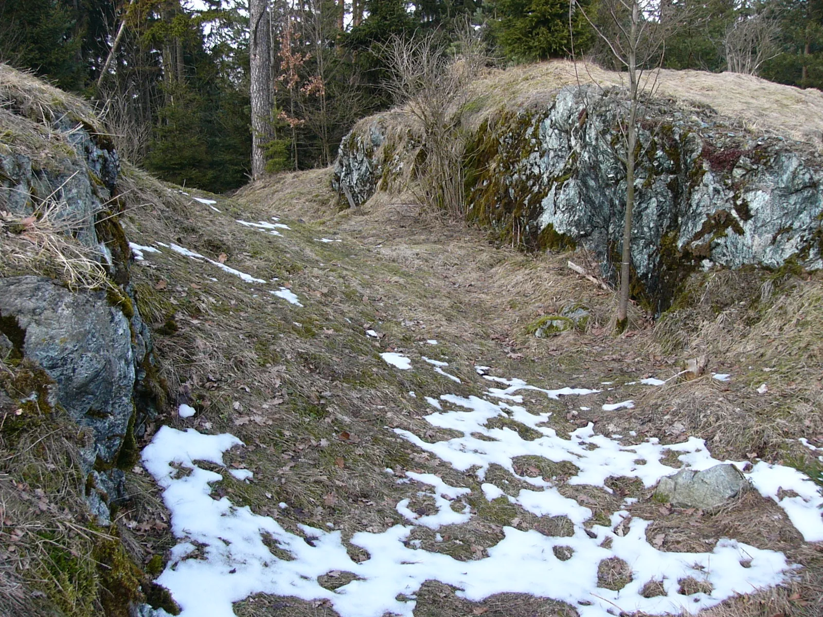 Photo showing: Gefälle im Osten der Anlage Haideck