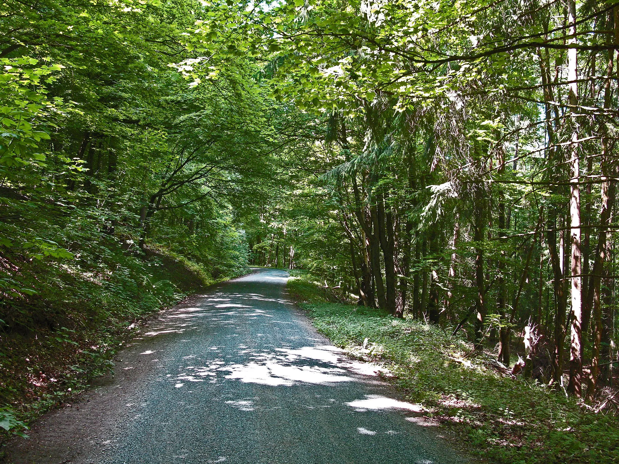 Photo showing: FFH-Gebiet "Buchenwälder und Wiesentäler des Nordsteigerwalds"