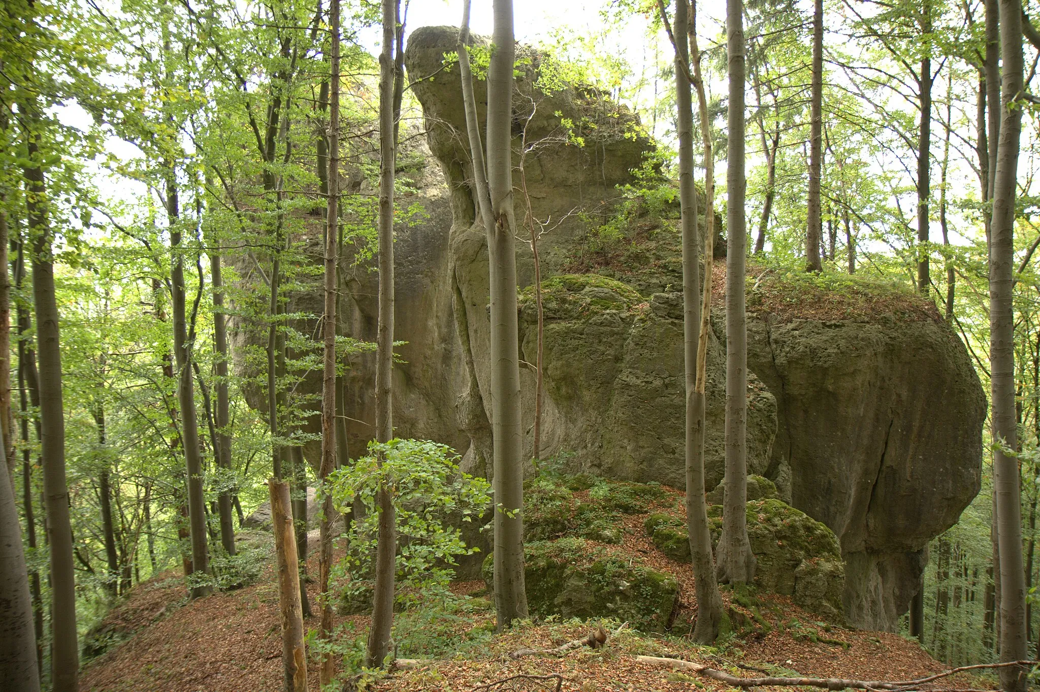 Photo showing: Burgstall Rotenstein - Ansicht aus südlicher Richtung