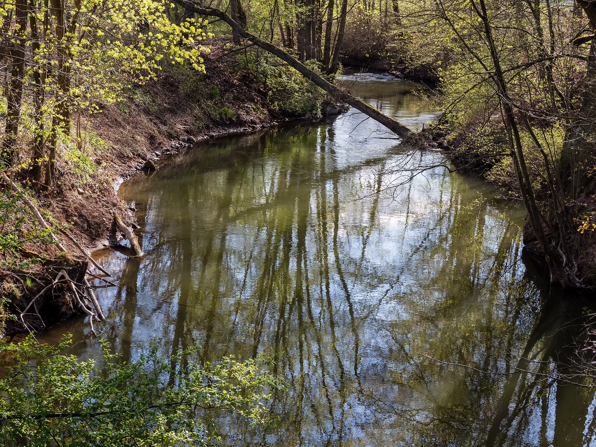 Photo showing: The Rauhe Ebrach near Pettstadt