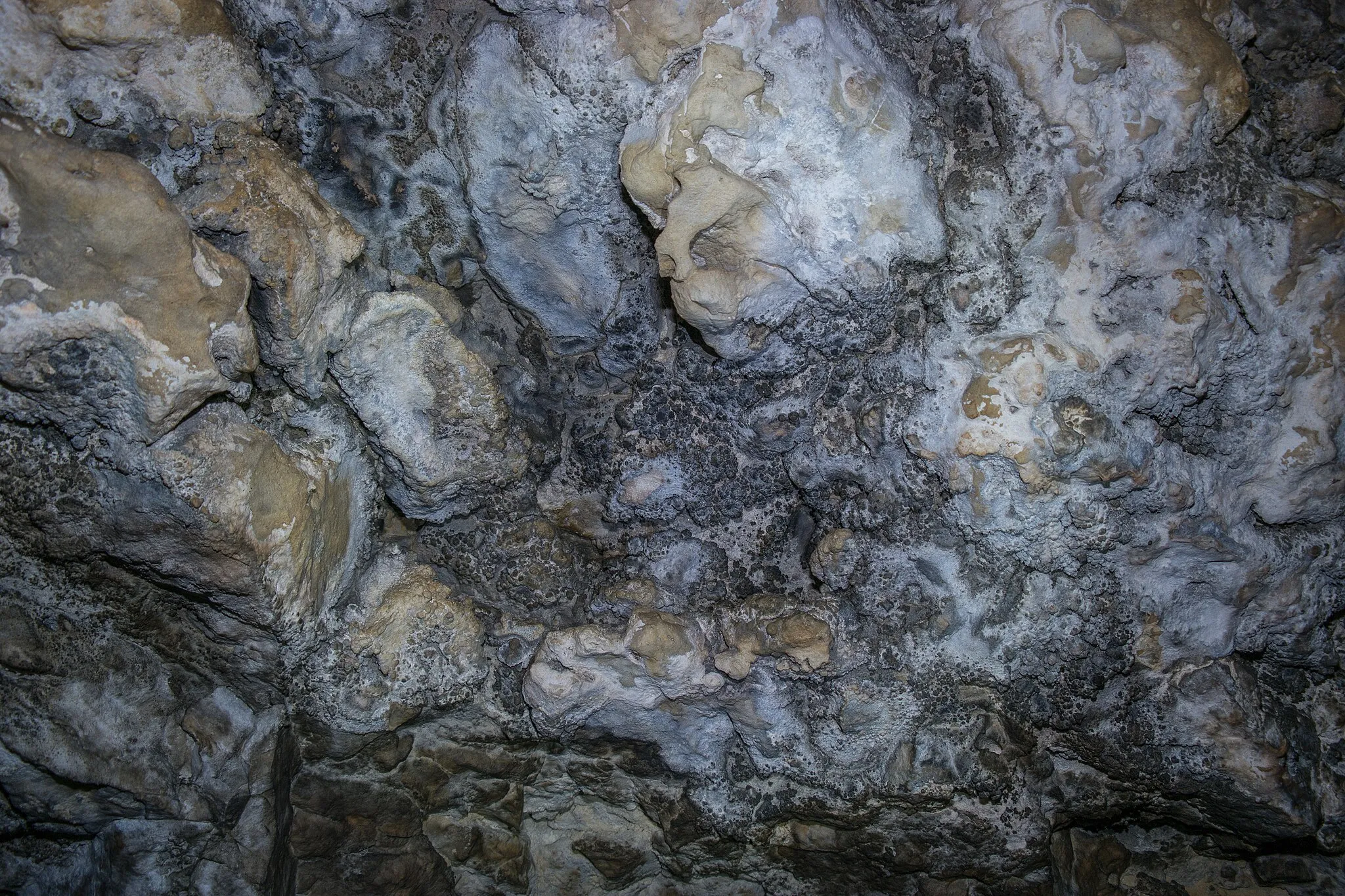 Photo showing: Knöpfchensinter in der Höhle