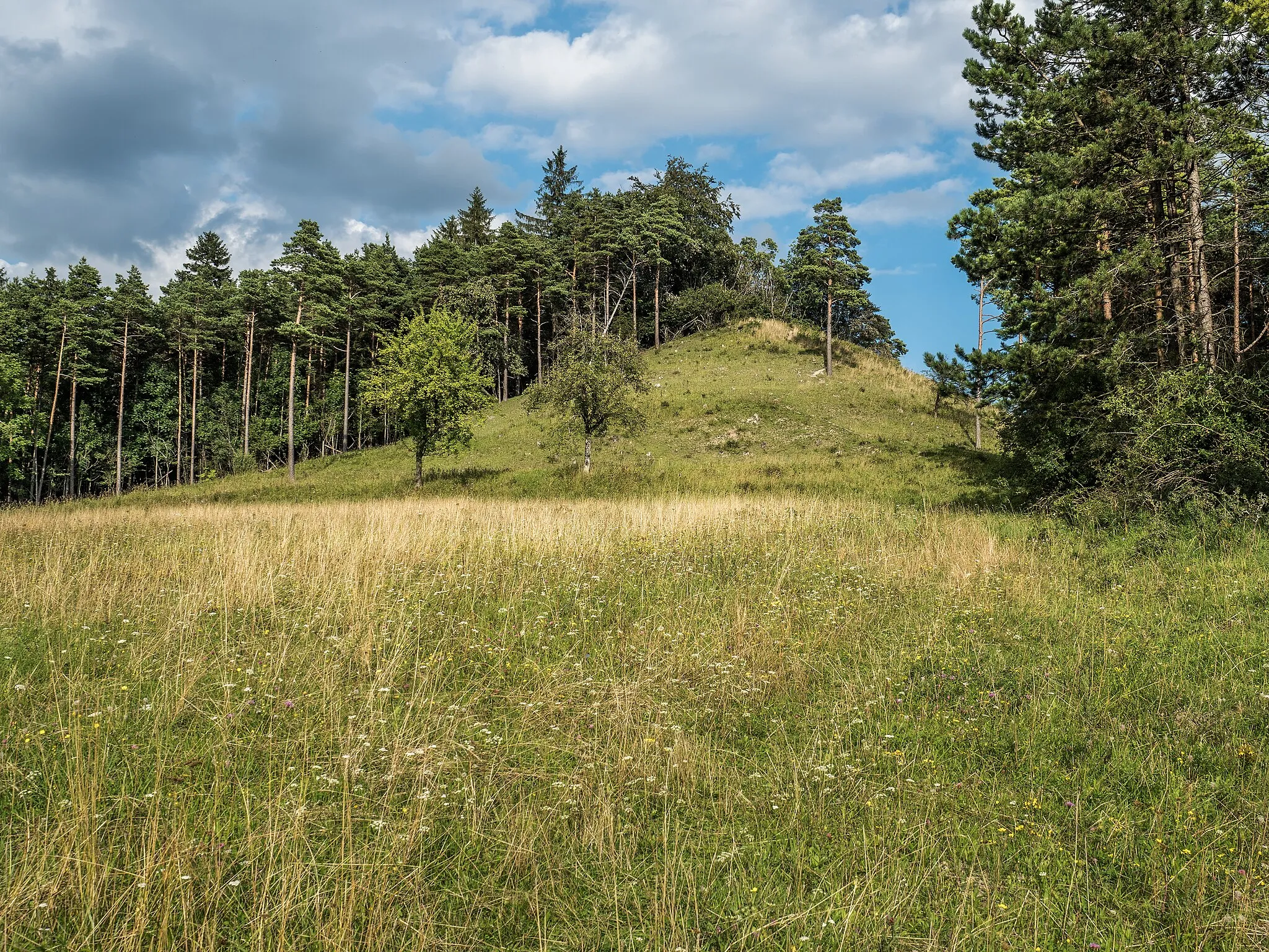 Photo showing: This is a picture of the protected area listed at WDPA under the ID