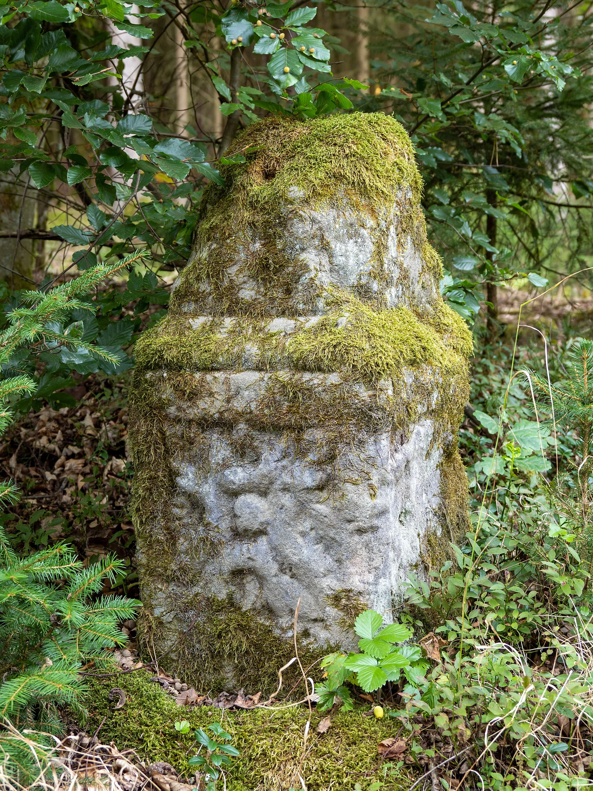 Photo showing: Boundary stone near the Lucas Cranach Turm