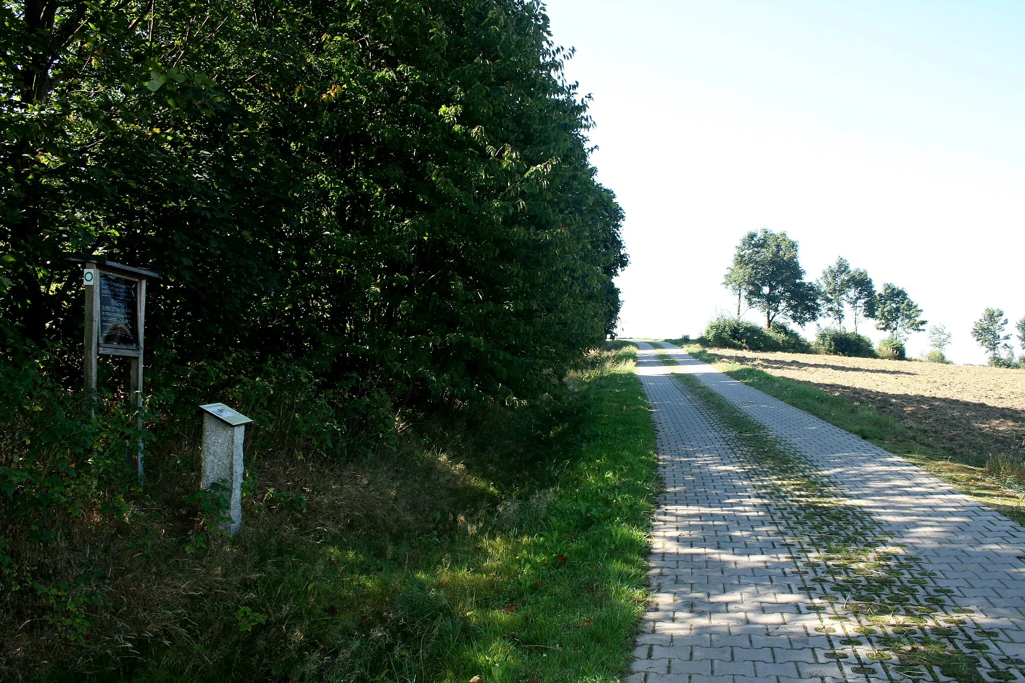 Photo showing: Mittelalterliche Geleitstraße Kemnath-Wunsiedel im Bereich Hohenbrand, Nagel