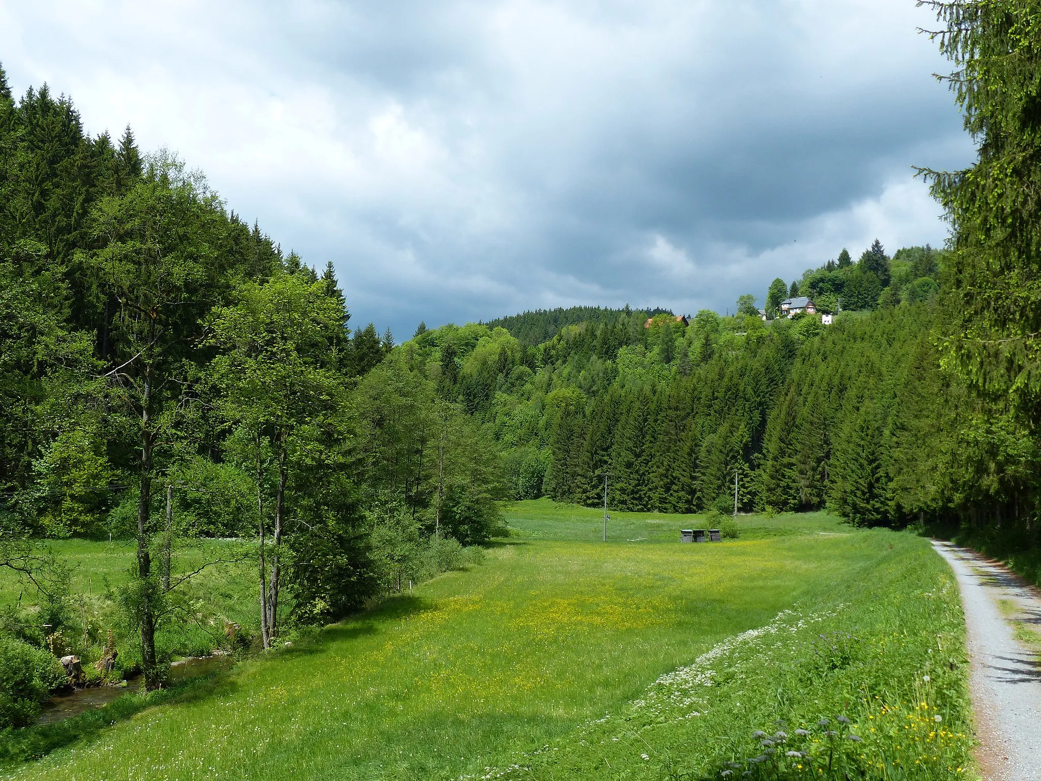 Photo showing: Wildenstein, Ortsteil von Presseck, Ansicht aus dem Tal