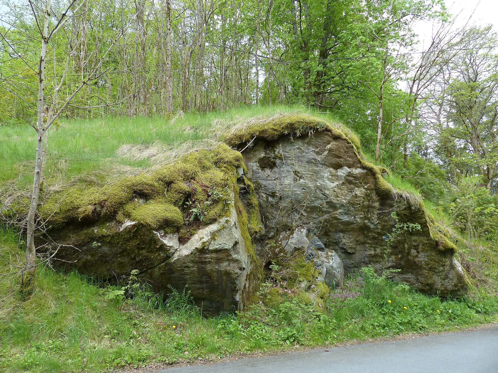 Photo showing: Bilderserie: Unmittelbare Umgebung der Burgruine Wildenstein