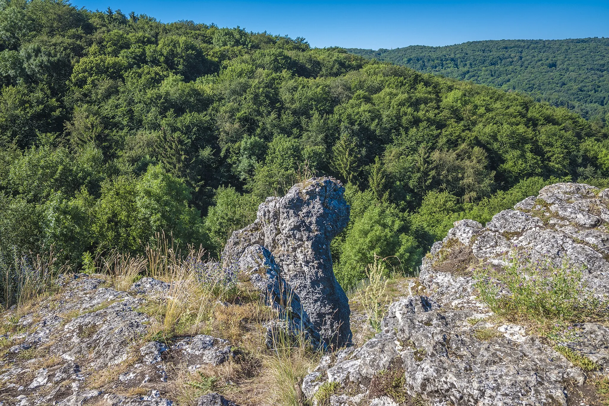 Photo showing: Am Ellernbachtalblick bei Tiefenellern