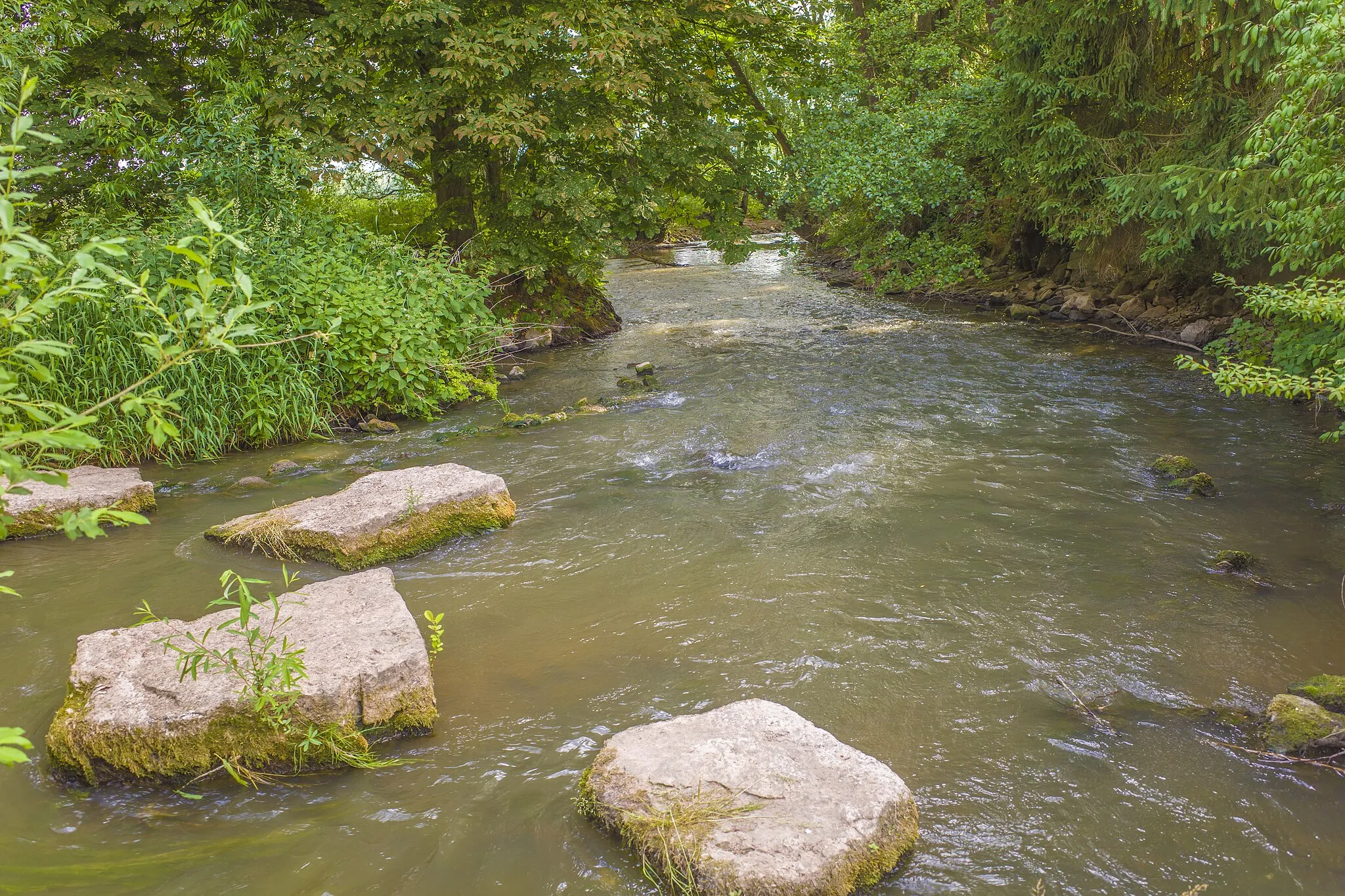 Photo showing: This is a picture of the protected area listed at WDPA under the ID