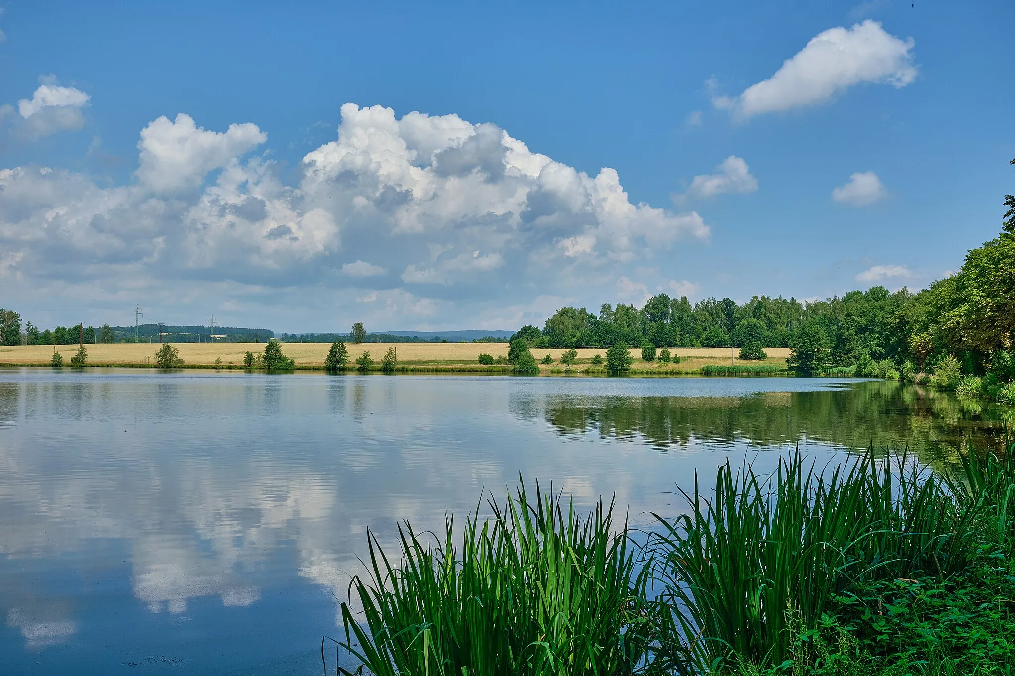 Photo showing: Františkovy Lázně, rybník Miska, okres Cheb