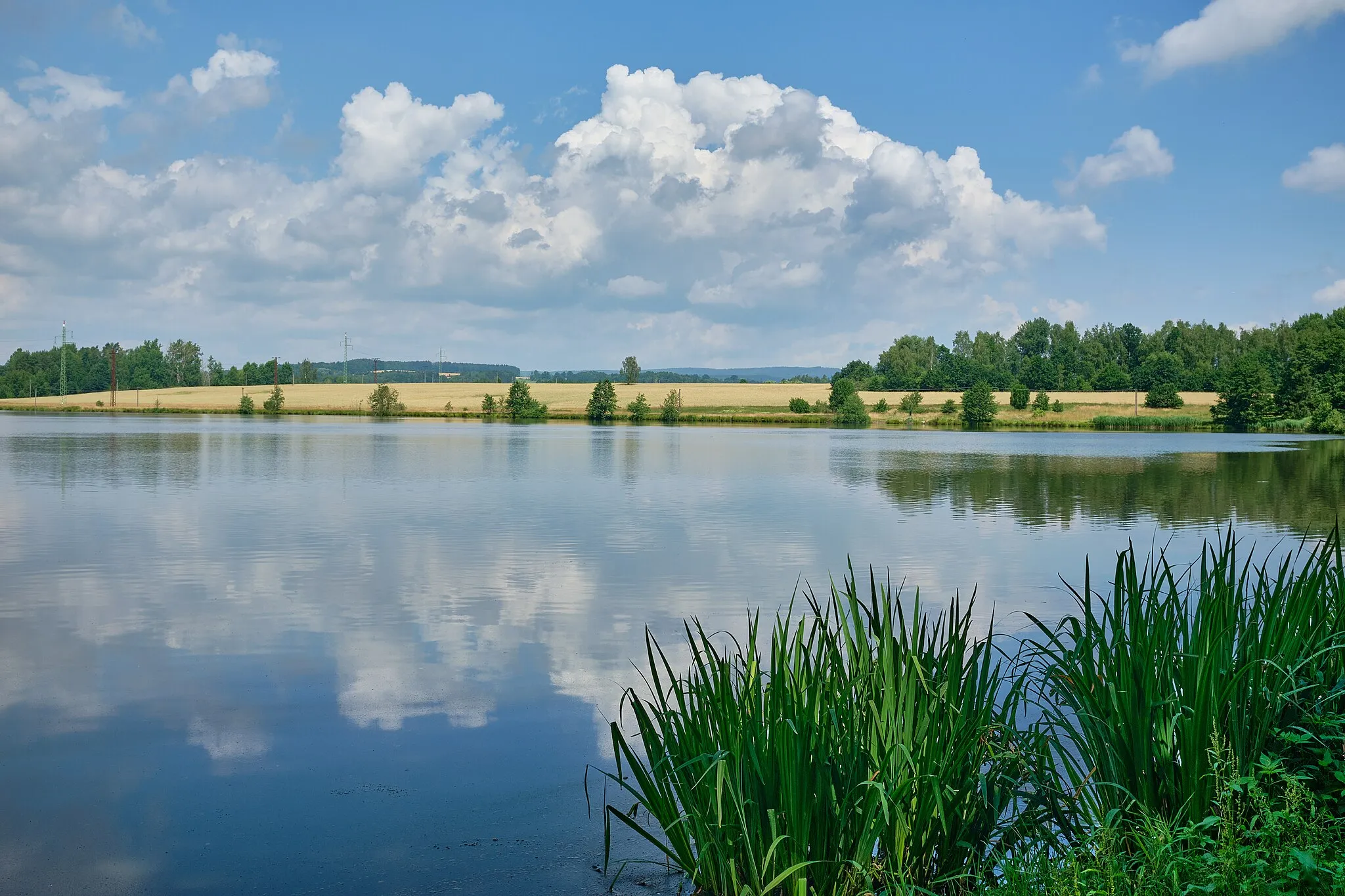 Photo showing: Františkovy Lázně, rybník Miska, okres Cheb