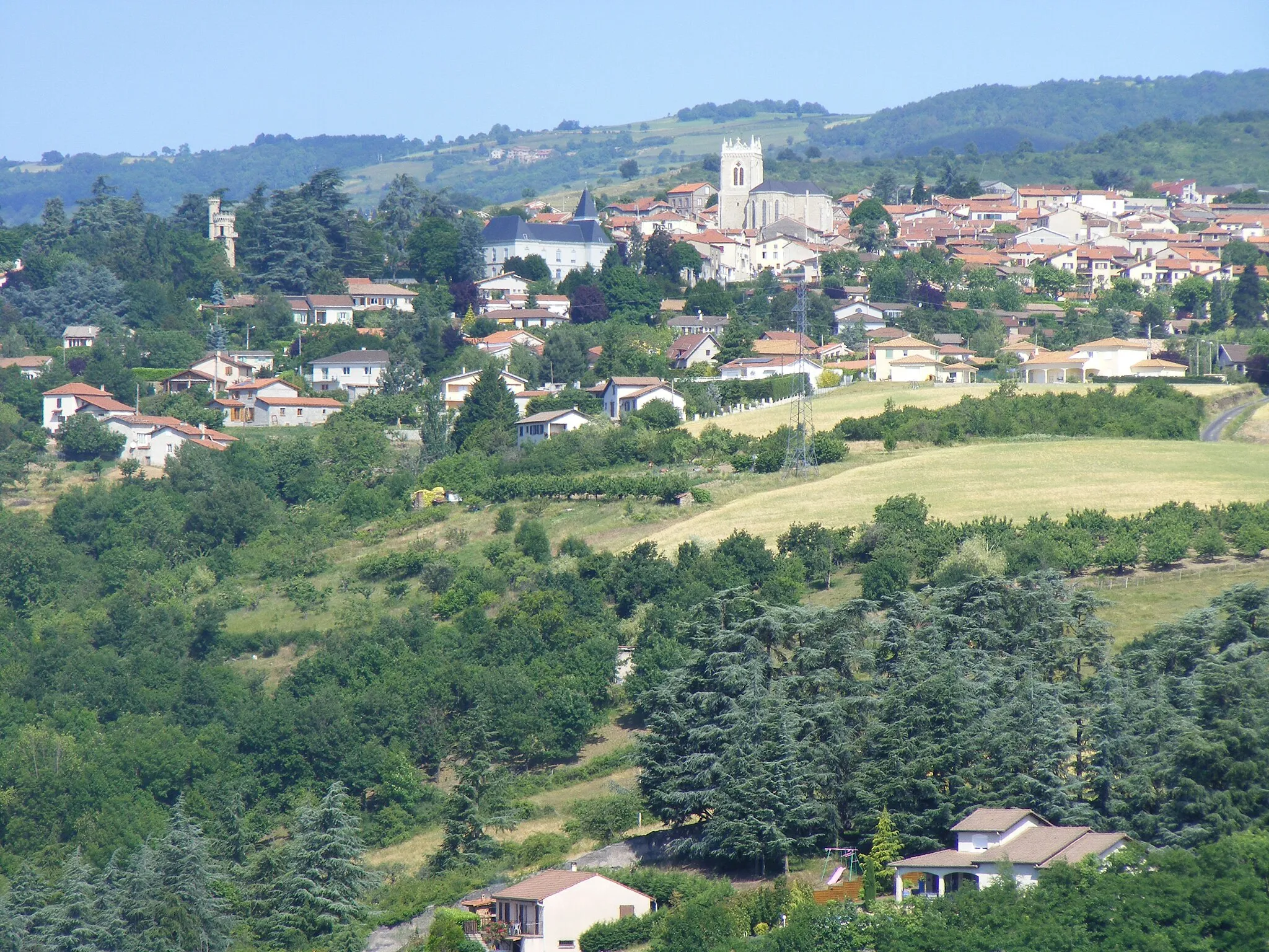 Photo showing: Vue générale Saint-Martin-la-Plaine