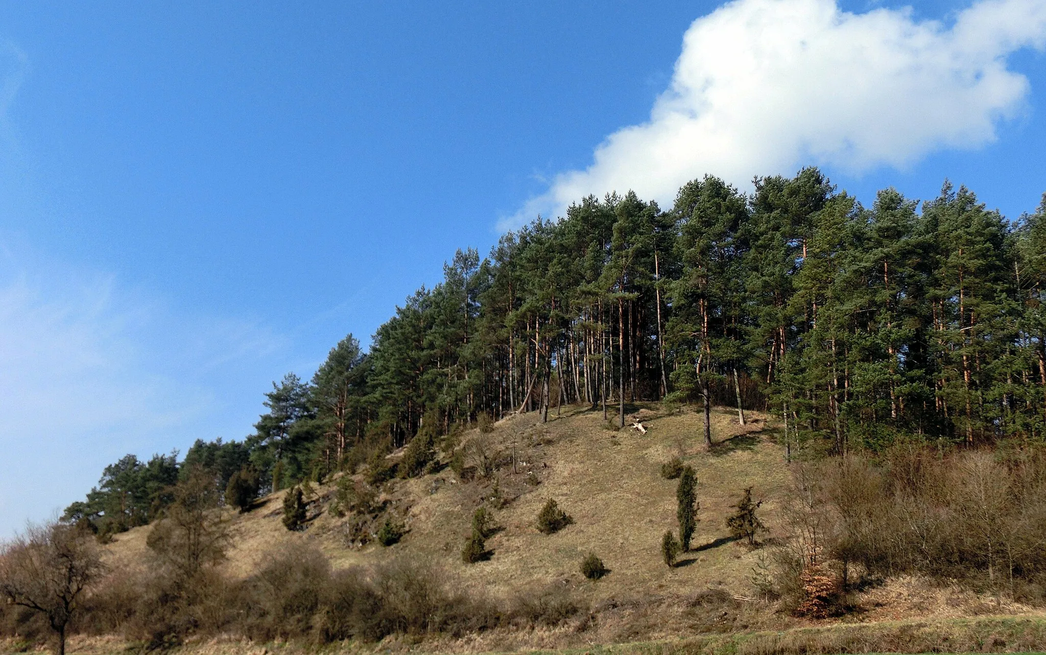 Photo showing: NSG bei Haselbrunn