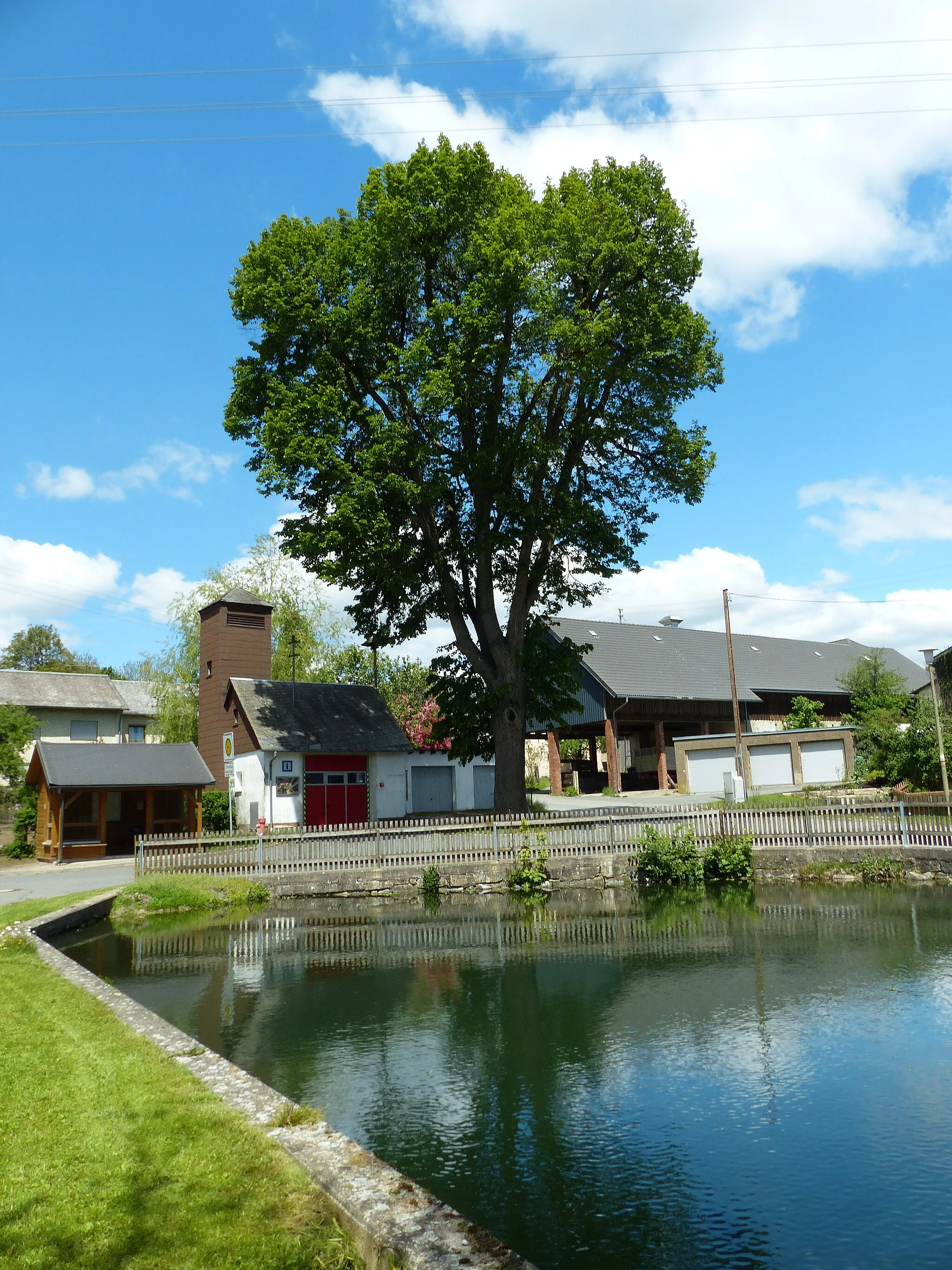 Photo showing: Naturdenkmal Friedenslinde Solg