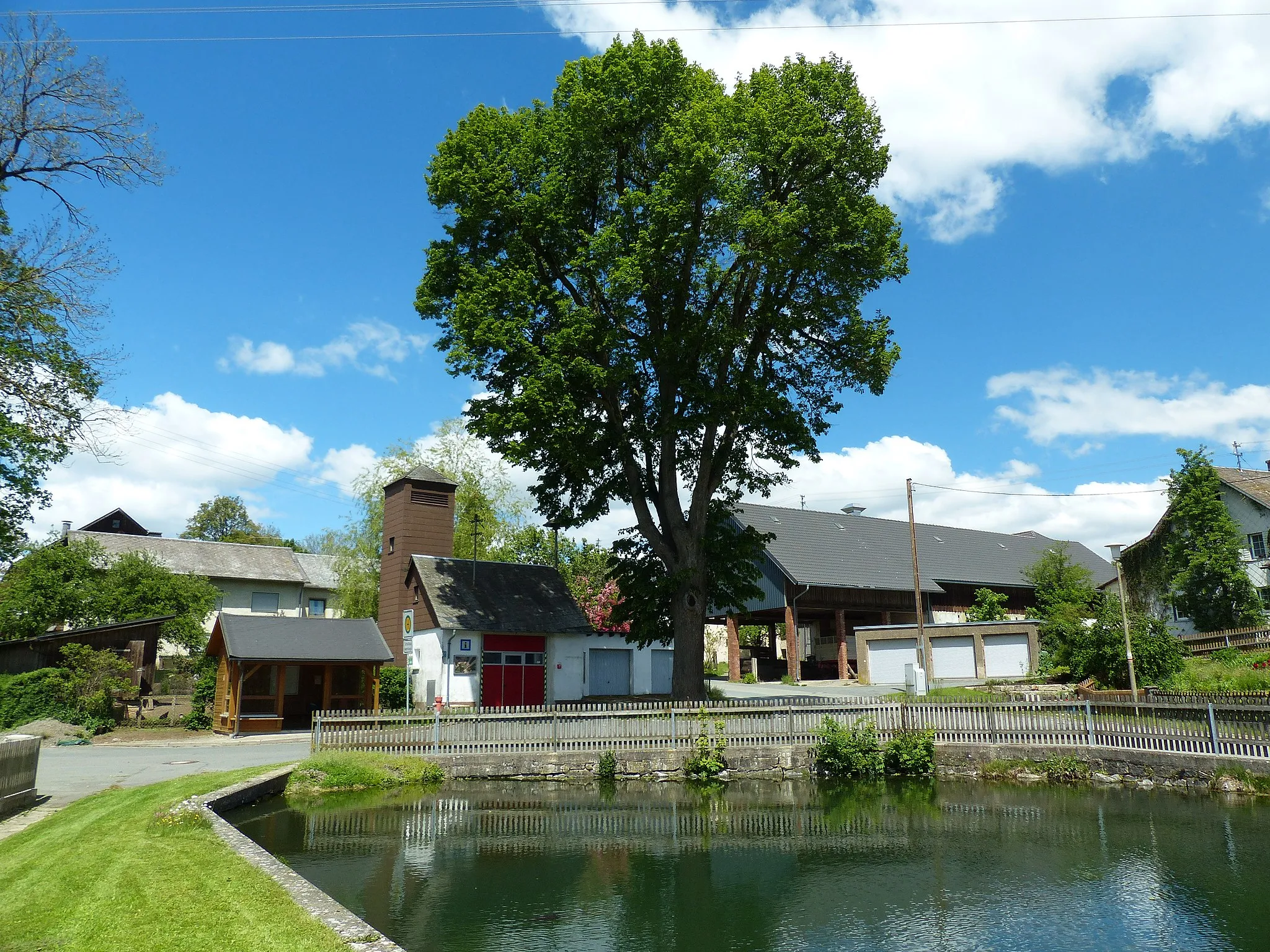 Photo showing: Naturdenkmal Friedenslinde Solg