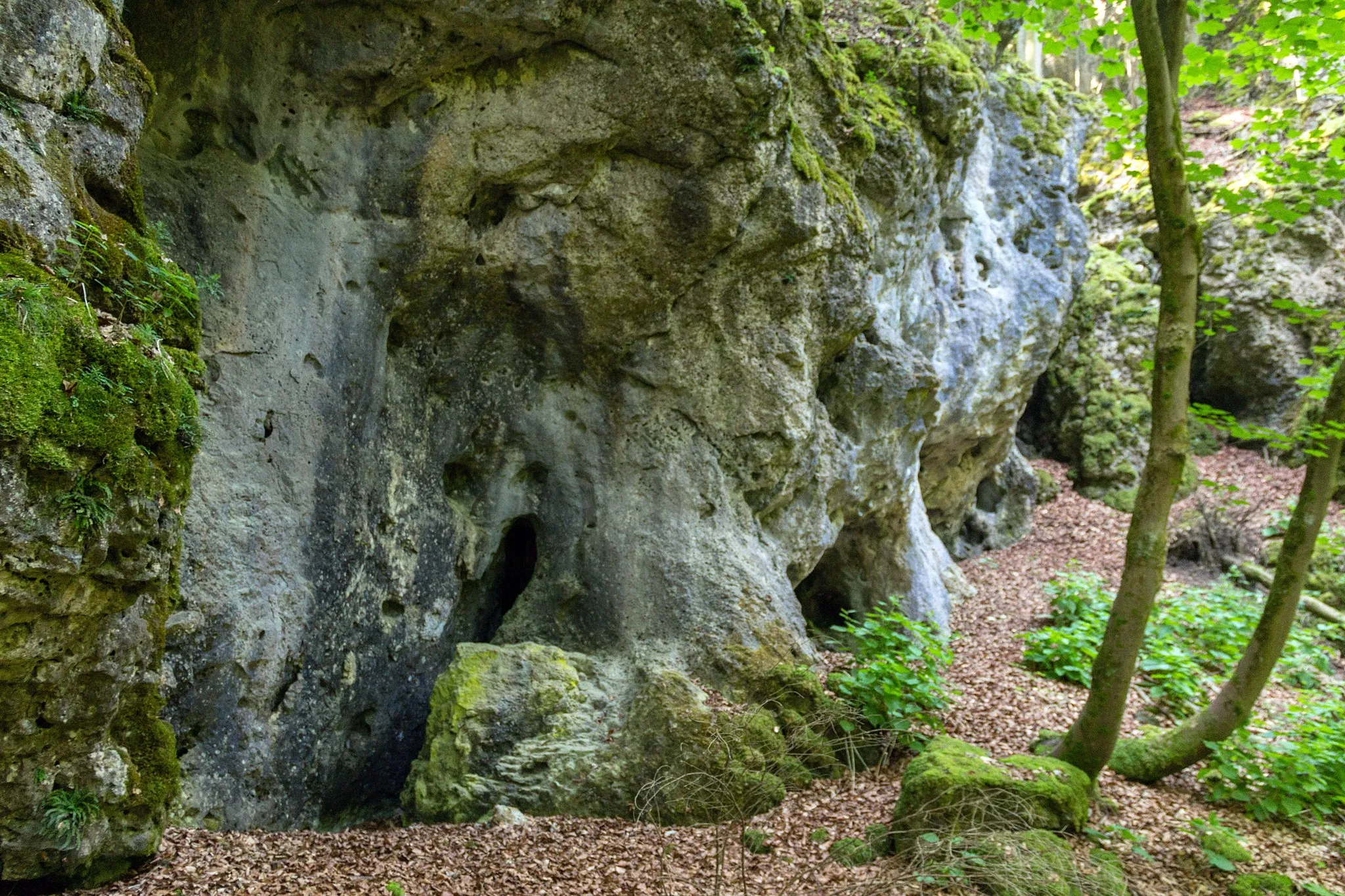 Photo showing: Kirchengrotten von Engelhardsberg, Geotop und Naturdenkmal