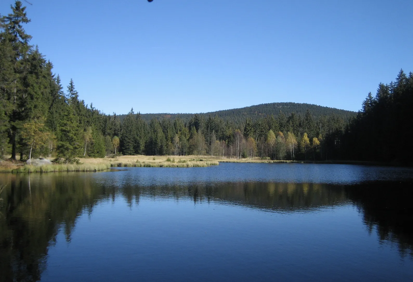 Photo showing: Nordteil des Fichtelsees im Naturschutzgebiet „Naturwaldreservat Fichtelseemoor“