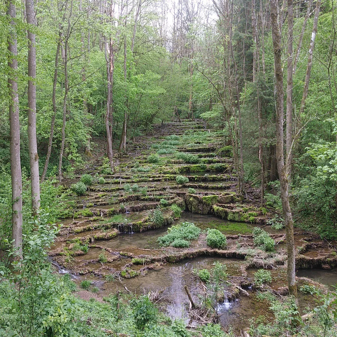 Photo showing: Vom Aussichtspunkt bietet sich ein Blick auf die Sintereassen der Lillach. Aufgenommen im Jahr 2019 nach längerer Trockenheit. An der Gemeindegrenze Weißenohe und Gräfenberg.