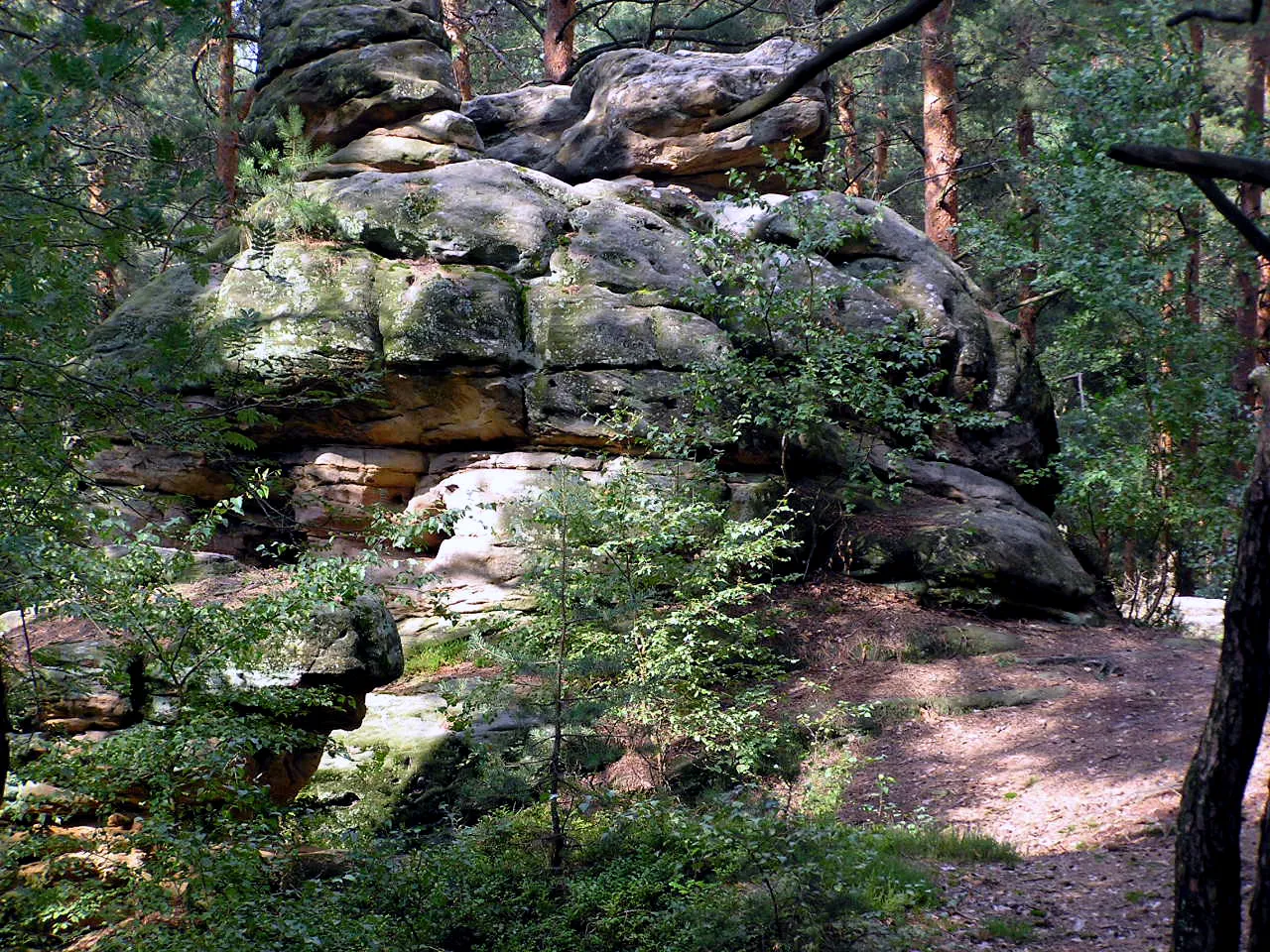 Photo showing: Bayreuth - Naturdenkmal Buchstein (Geotop-Nummer: 462R001)