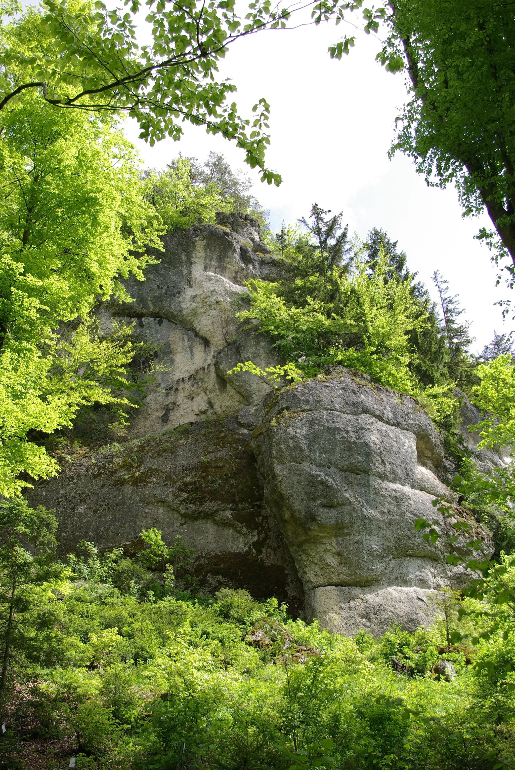 Photo showing: Das Obere Püttlachtal bei Pottenstein in der Fränkischen Schweiz.