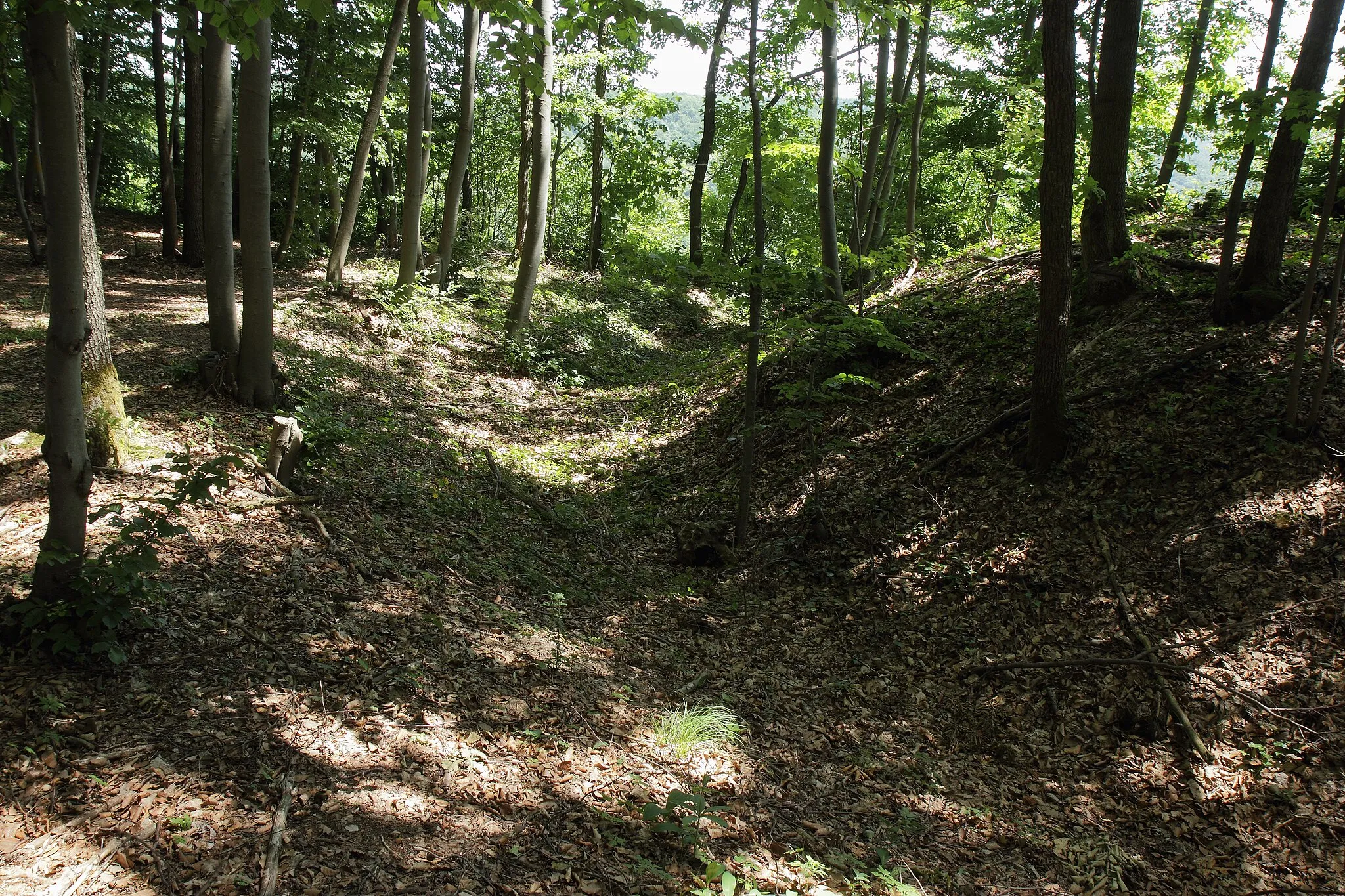 Photo showing: Burgstall Ketschenstein - Profil des Ringgrabens