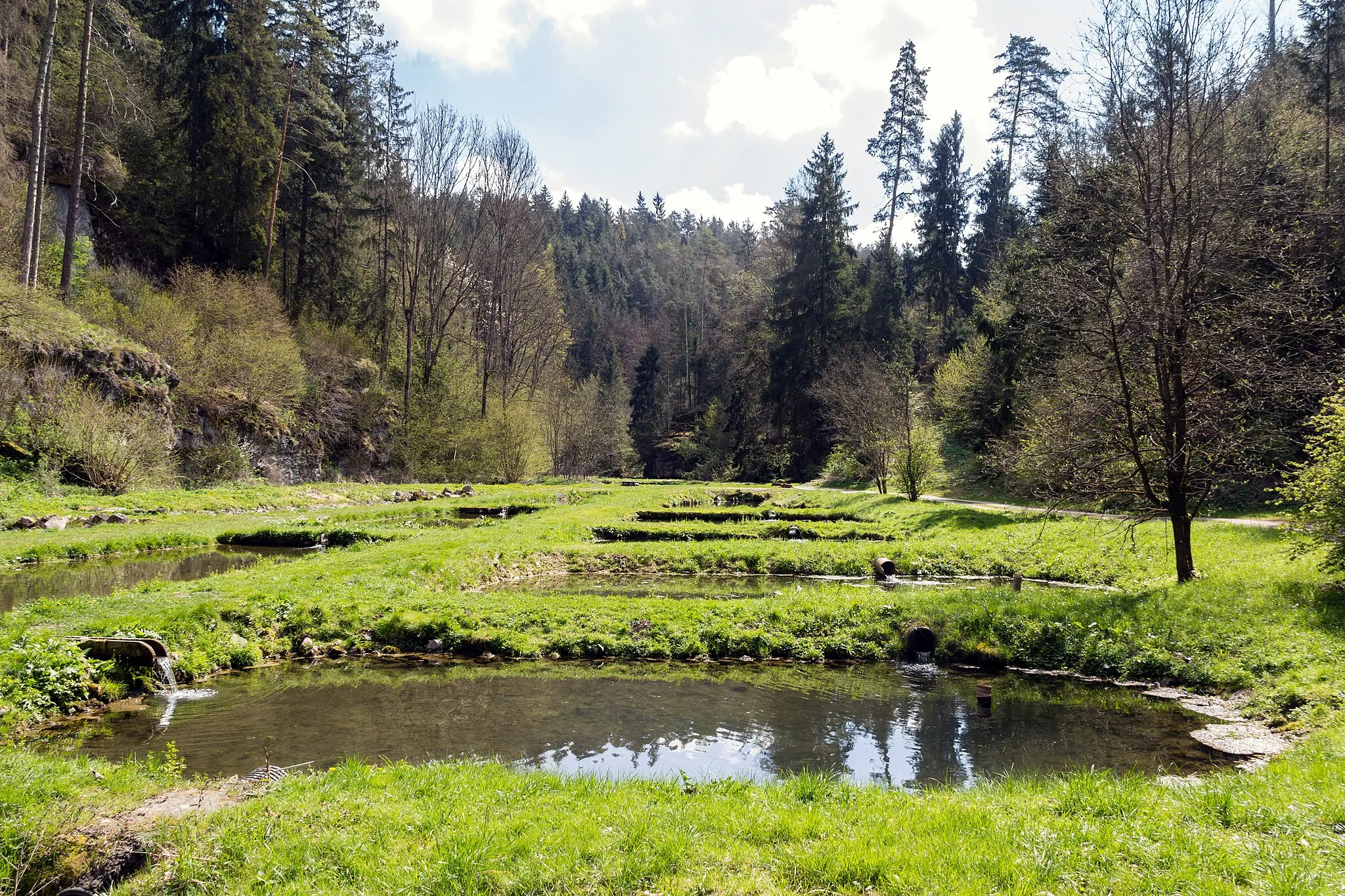 Photo showing: Klumpertal bei Pottenstein, FFH-Gebiet Wiesent-Tal mit Seitentälern