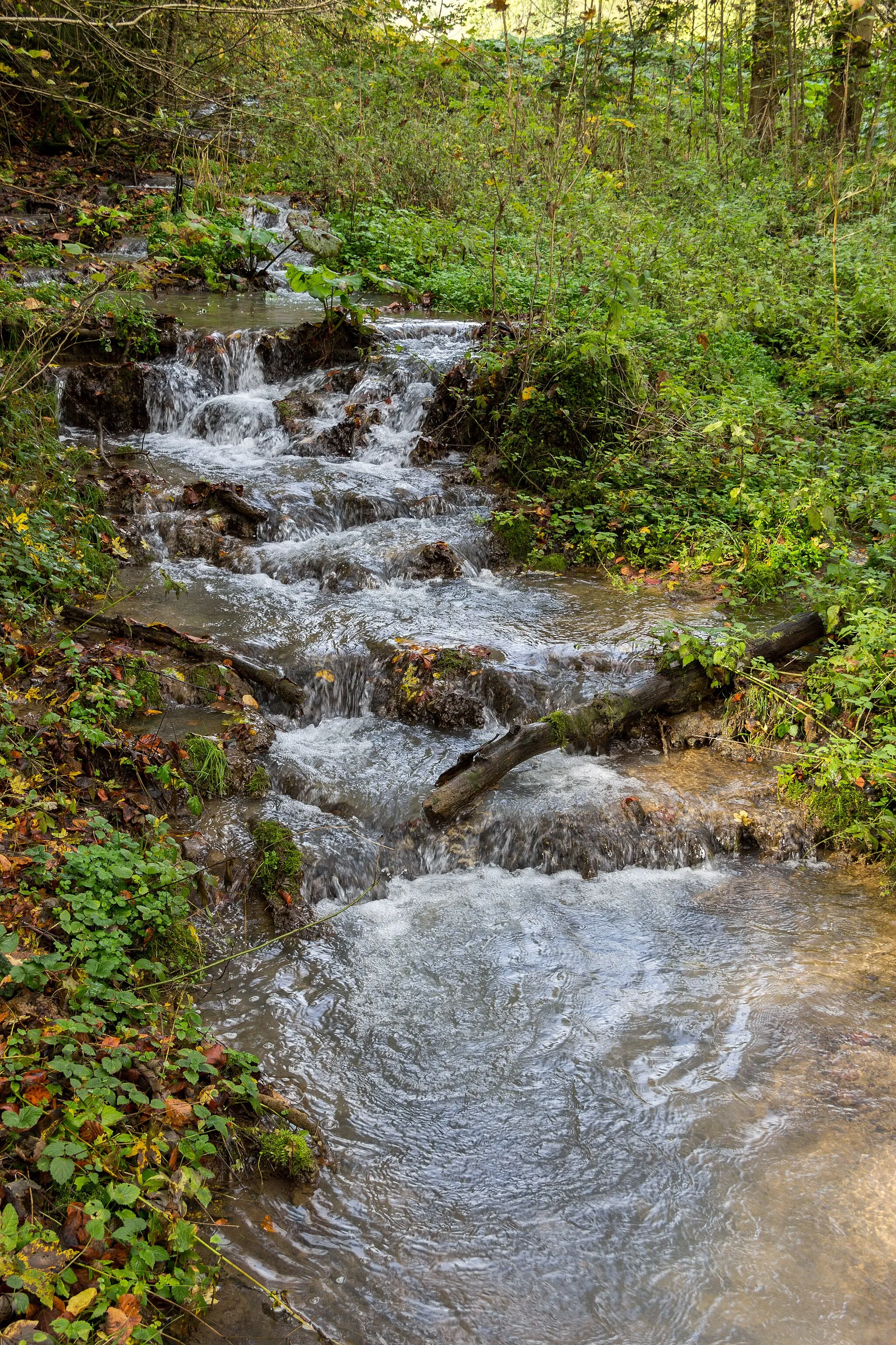 Photo showing: Thuisbrunner Bach, Thuisbrunn, LSG Fränkische Schweiz - Veldensteiner Forst