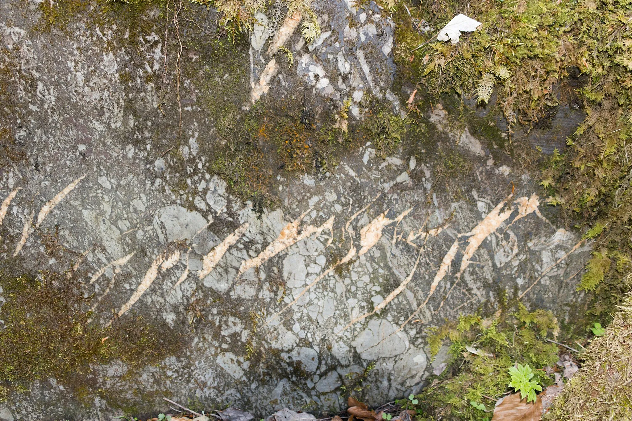 Photo showing: Aufgelassene Kalksteinbrüche am Rauheberg südlich von Langenau bei Geroldsgrün Geotop 475A010