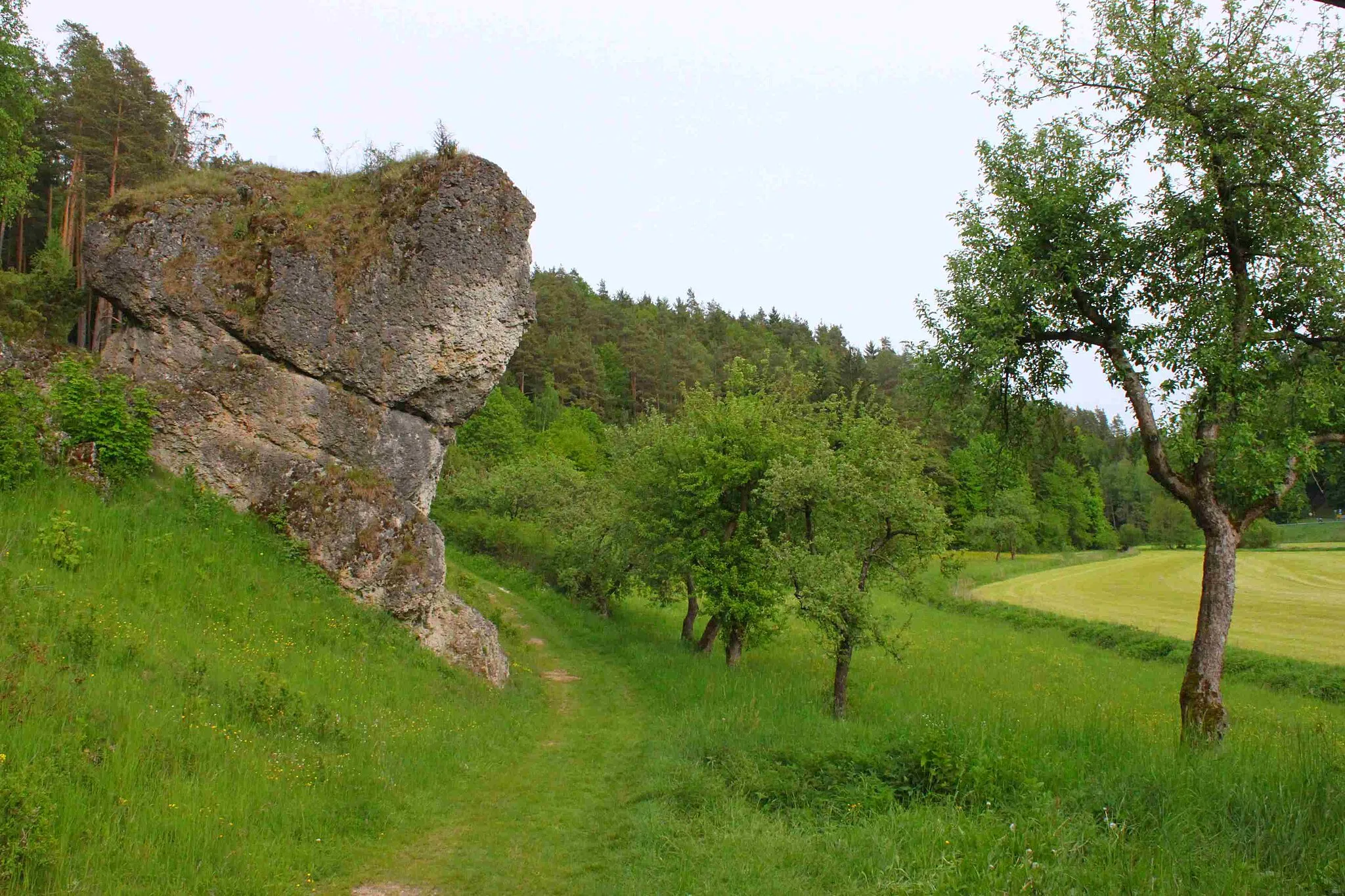 Photo showing: Das Ailsbachtal bei Oberailsfeld