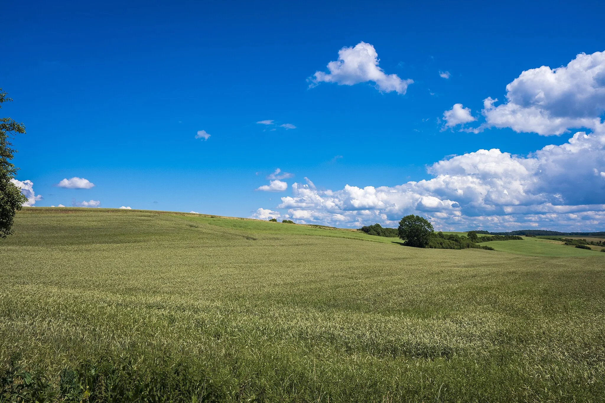 Photo showing: LSG innerhalb des Naturparks Steigerwald (ehemals Schutzzone)