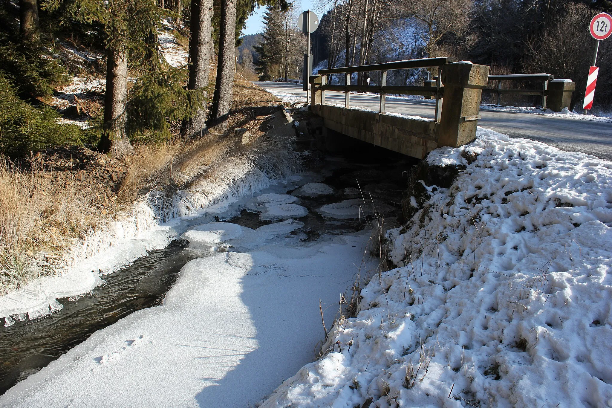 Photo showing: Thiemitz im Naturpark Frankenwald