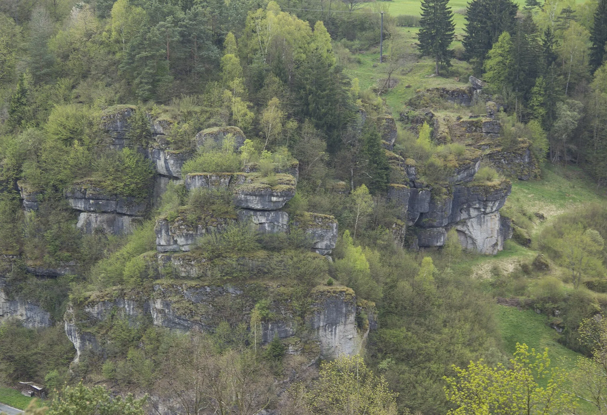 Photo showing: Naturschutzgebiet, Trockenhänge, Pottenstein, Nationales Geotop