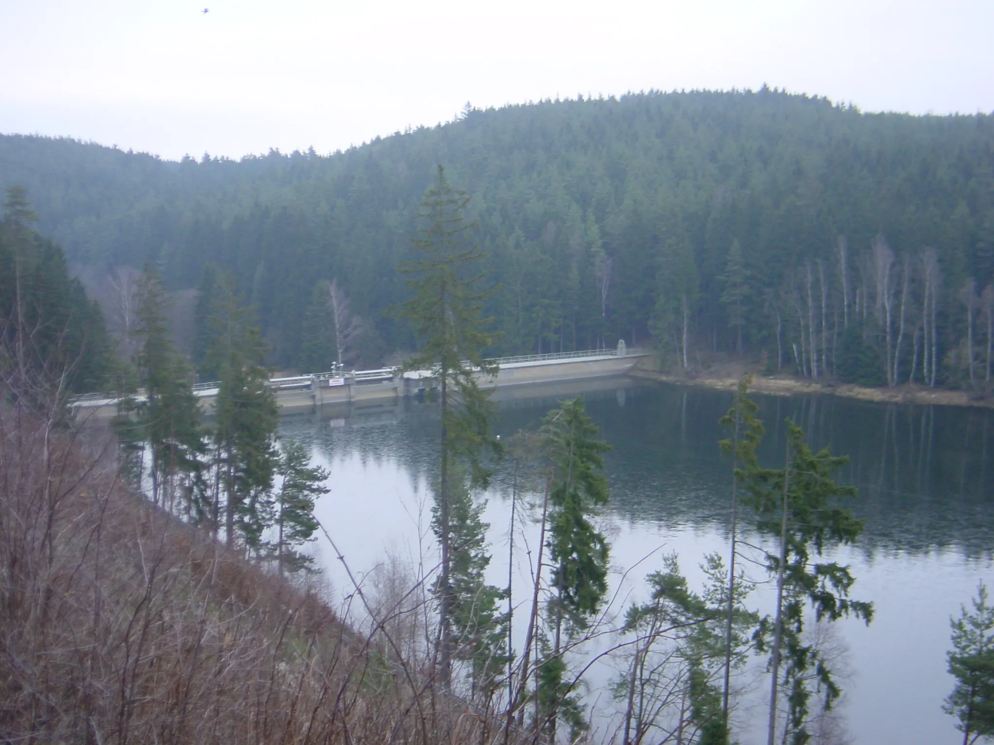 Photo showing: Wisenta dam and reservoir, Thuringia, Germany