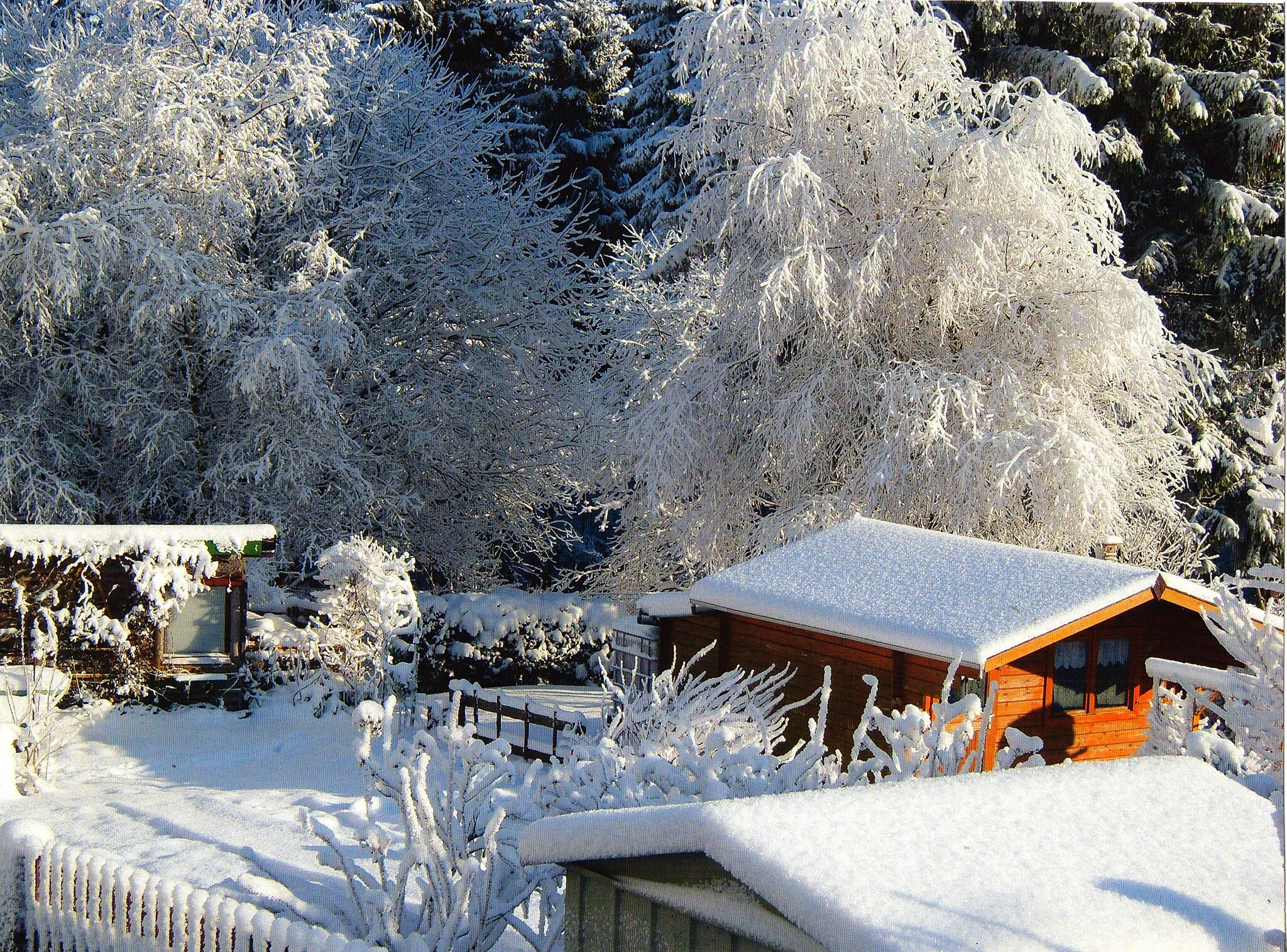 Photo showing: Winter in der Gartenanlage "Otto-Engert" in Thüringen