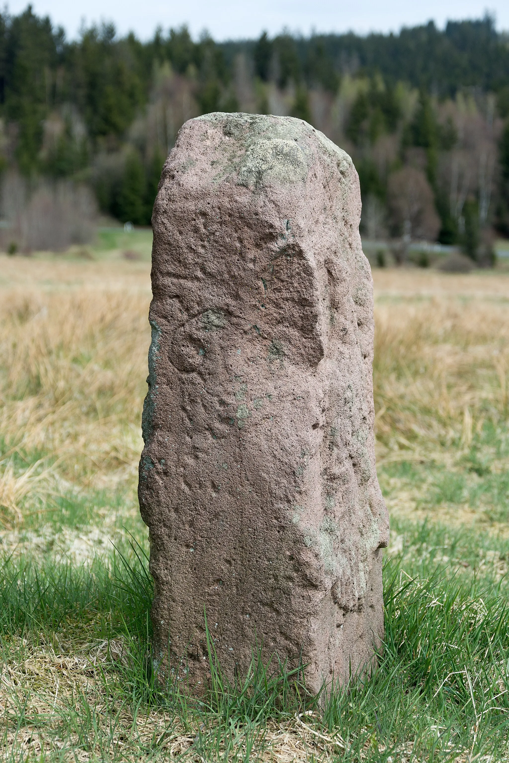 Photo showing: Landesgrenzstein 63 nördlich von Tettau