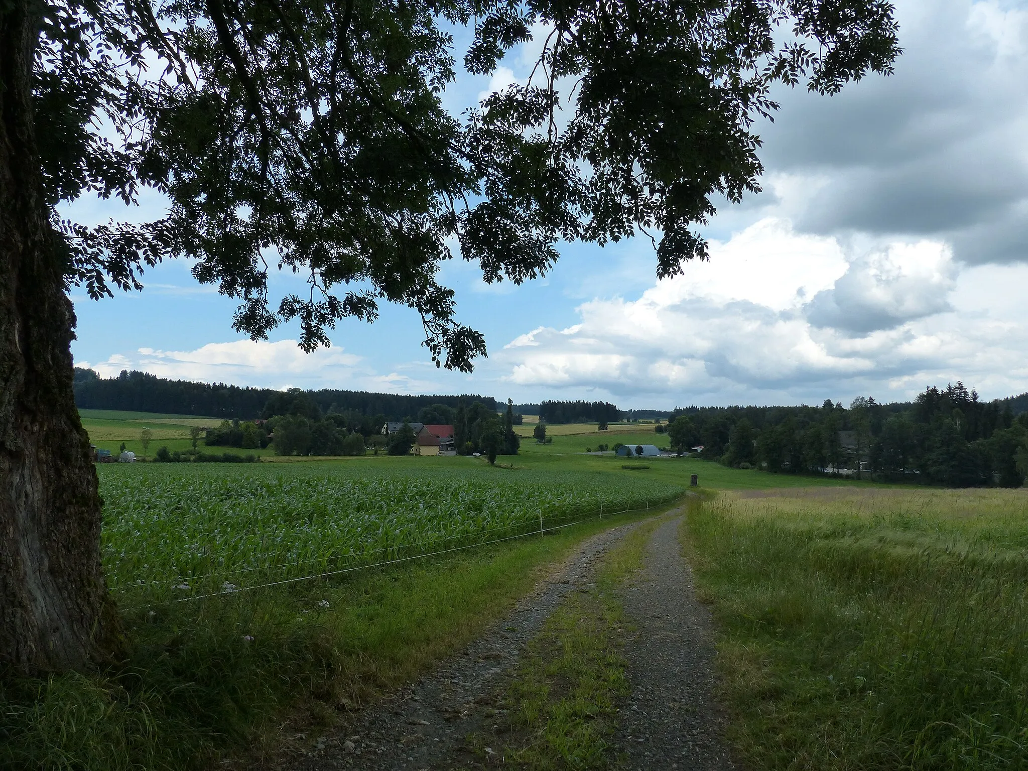 Photo showing: Ortsansicht von Tennersreuth