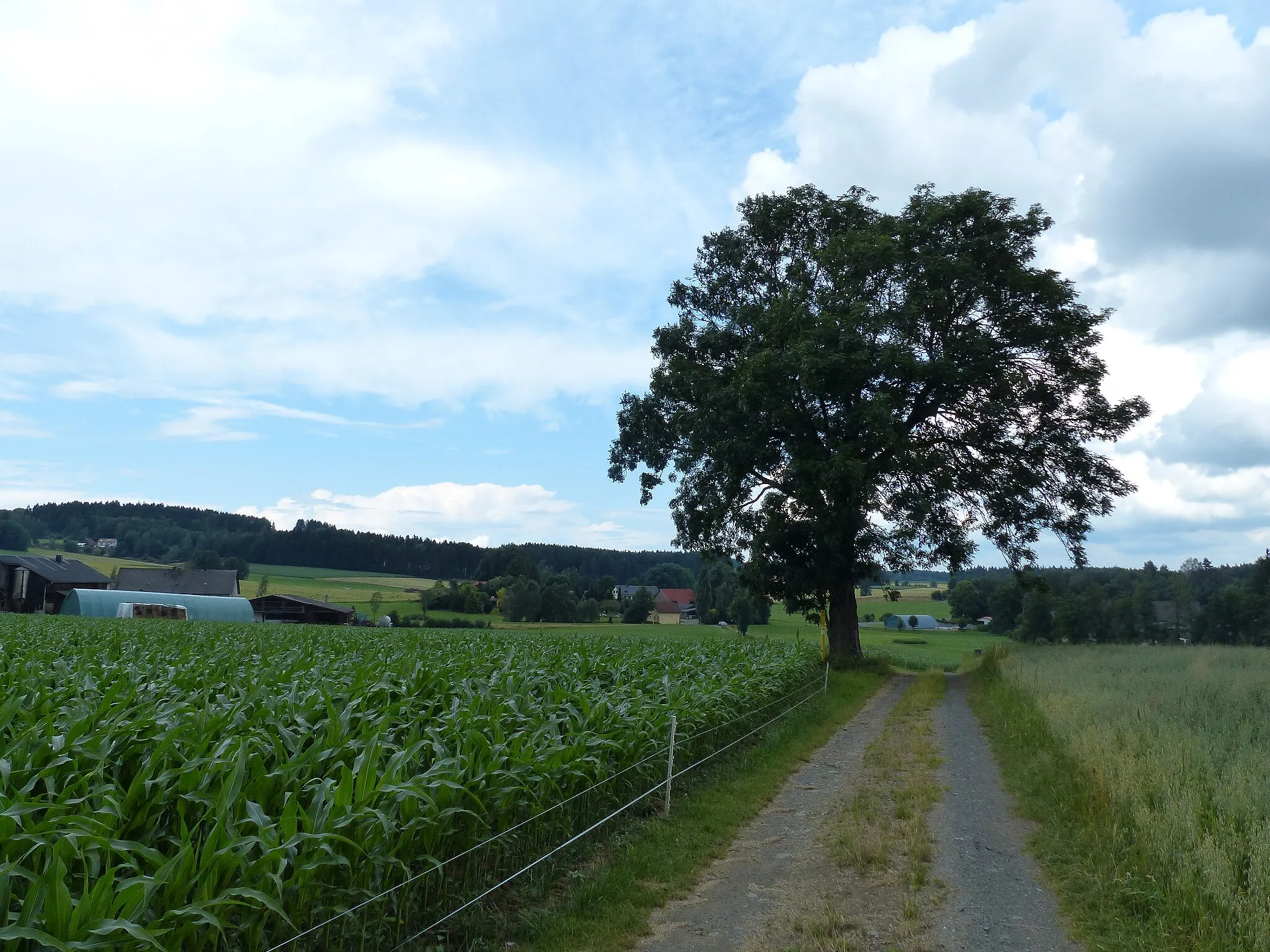 Photo showing: Ortsansicht von Tennersreuth