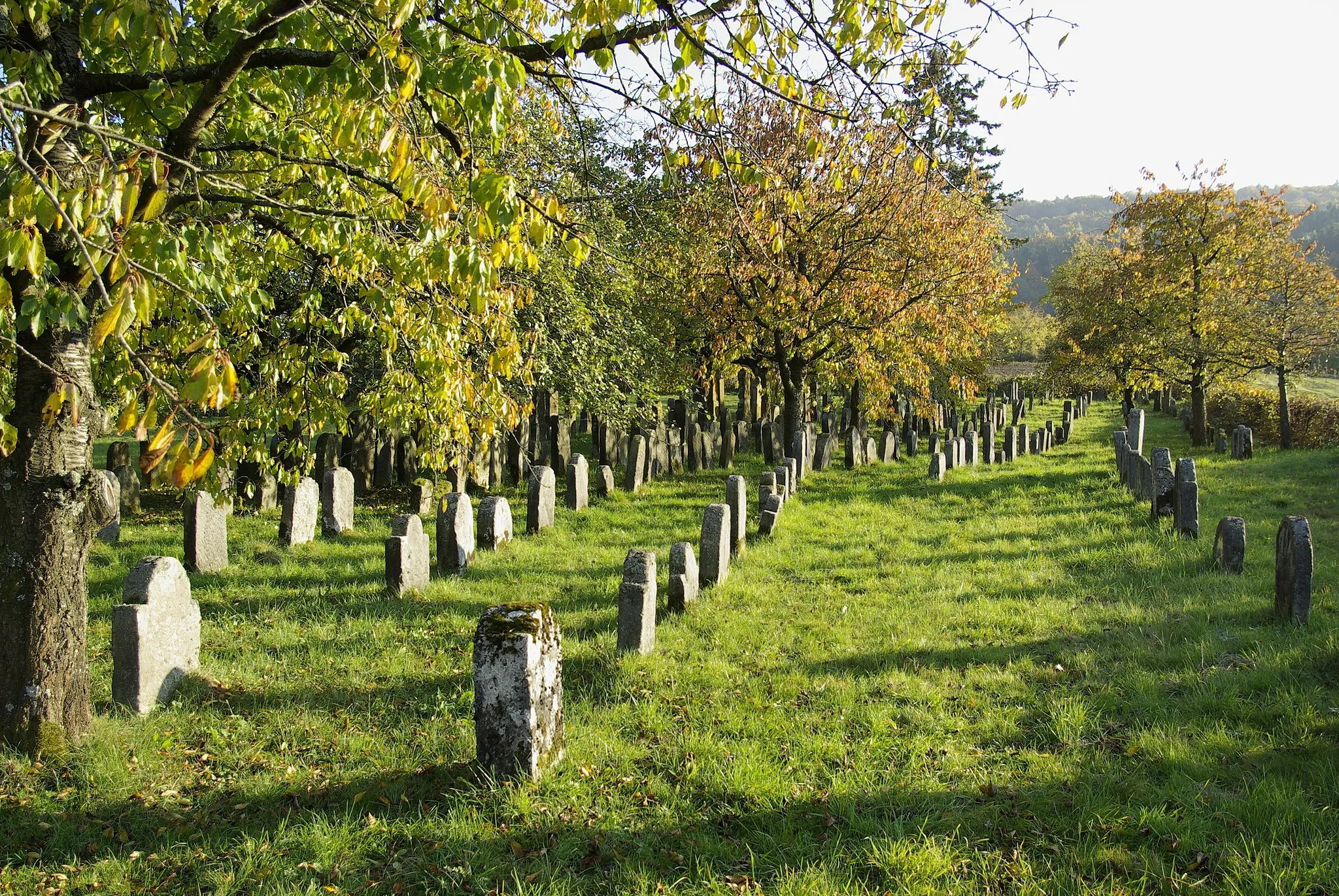 Photo showing: Jüdischer Friedhof in Hagenbach