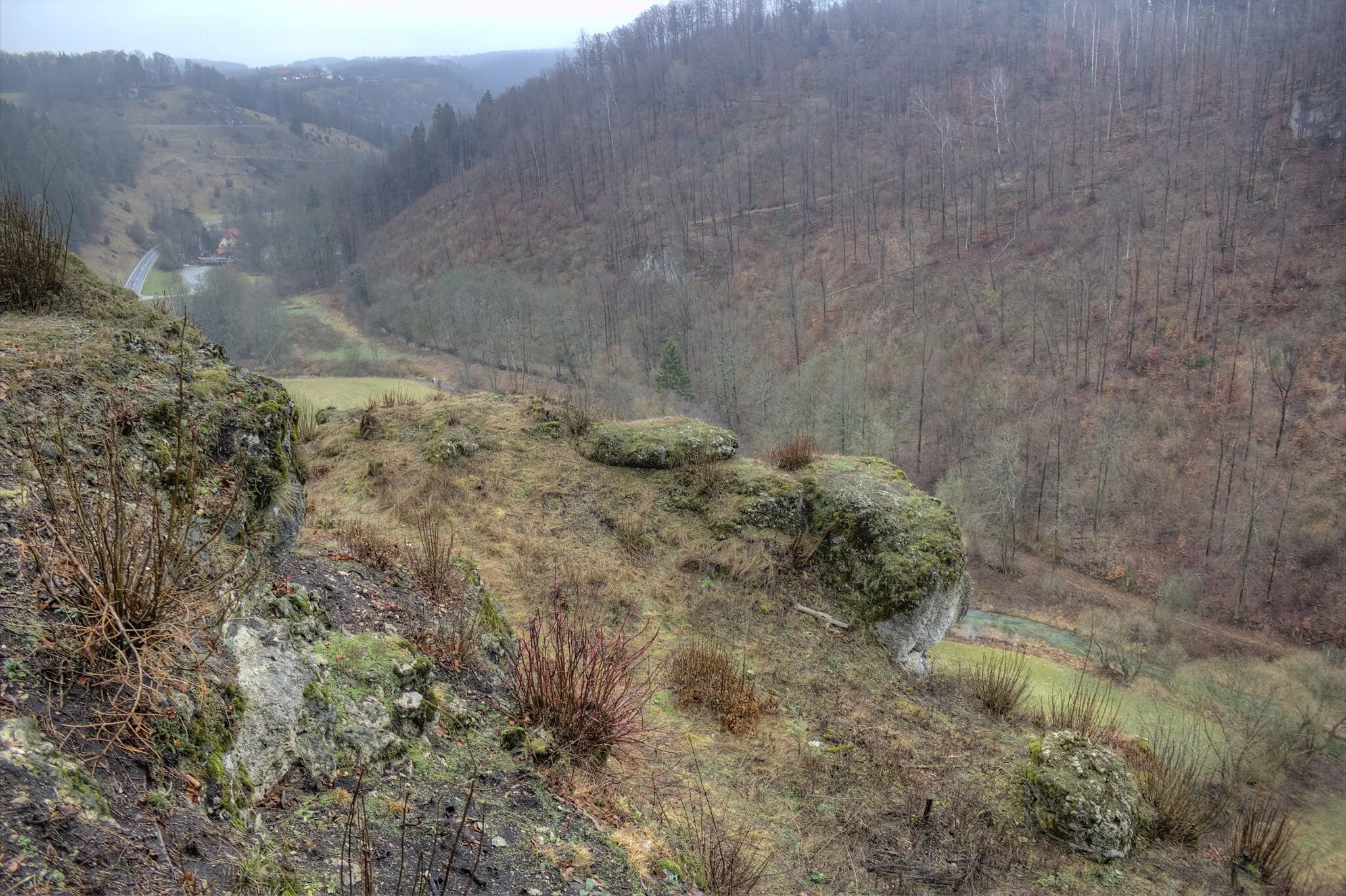 Photo showing: Blick vom Heideknock ins Kleinziegenfelder Tal