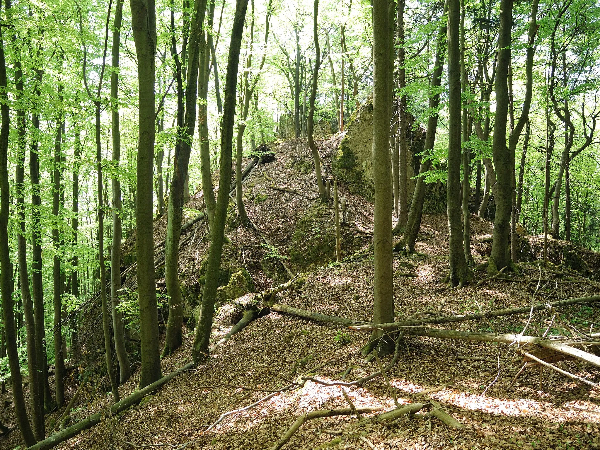 Photo showing: Burgstall am Hühnefelsen - Ansicht aus nördlicher Richtung