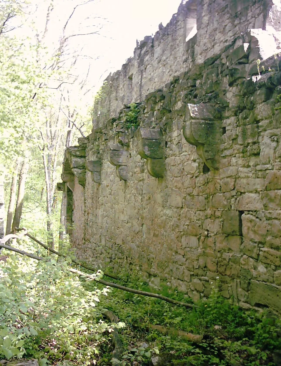 Photo showing: Die mainseitige Zwingermauer mit den Konsolsteinen des Wehrganges