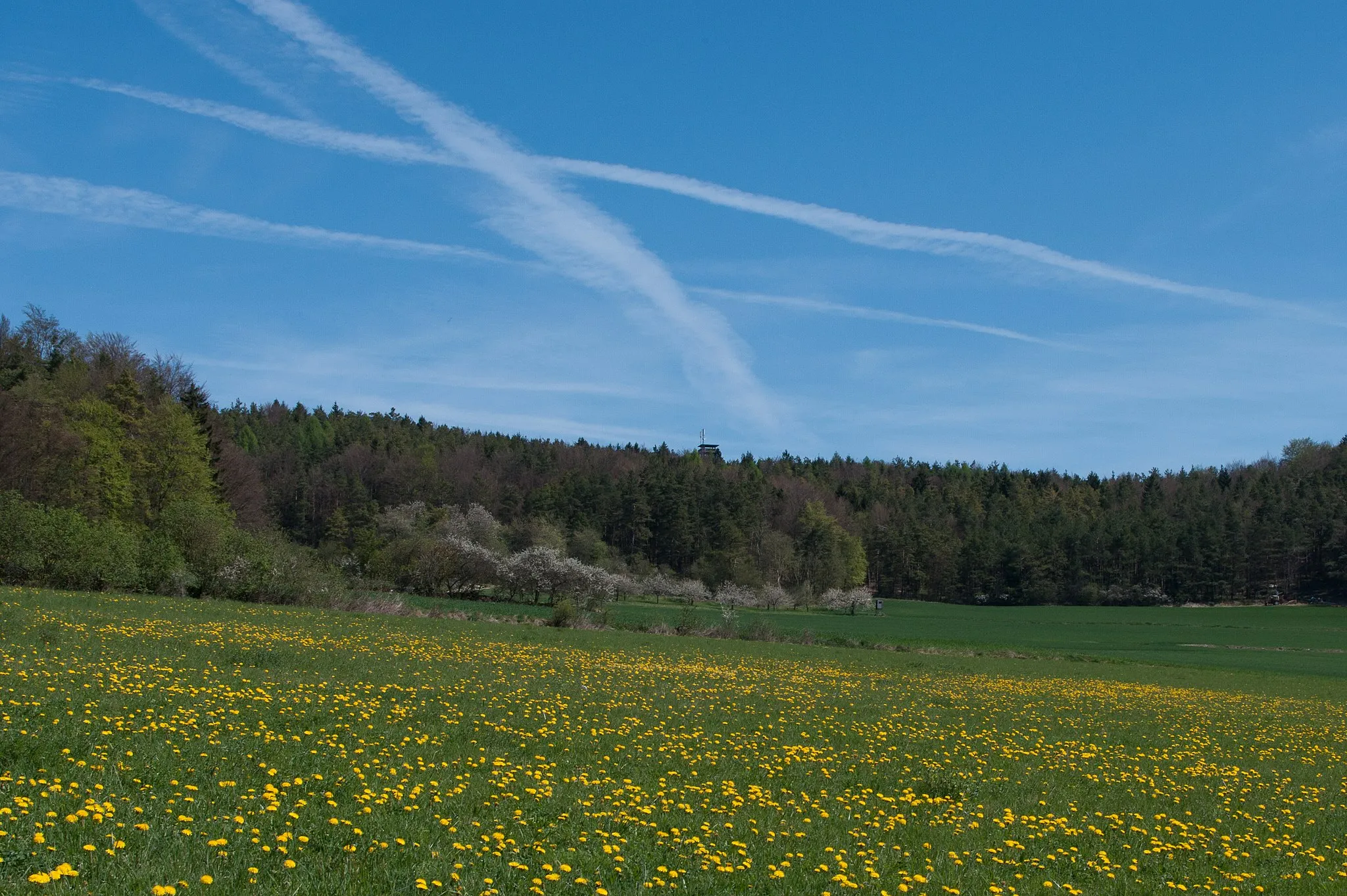 Photo showing: Kleiner Kulm, Bavaria (near Pegnitz)